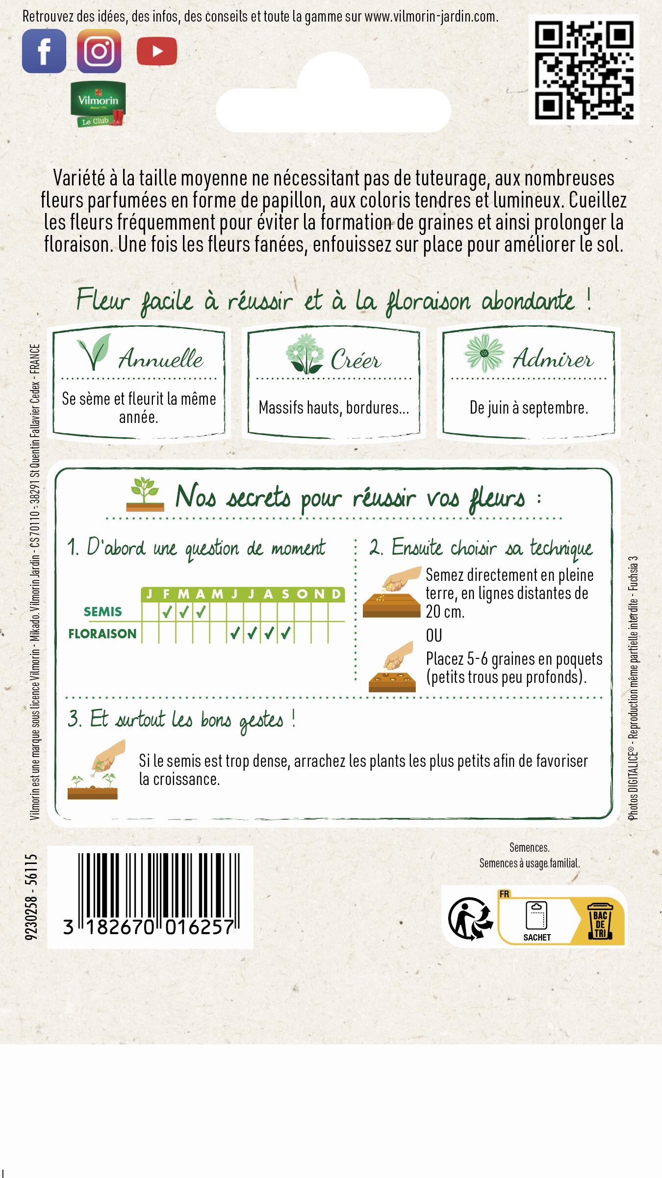 Graines de pois de senteur buisson  VILMORIN 5 g - 2