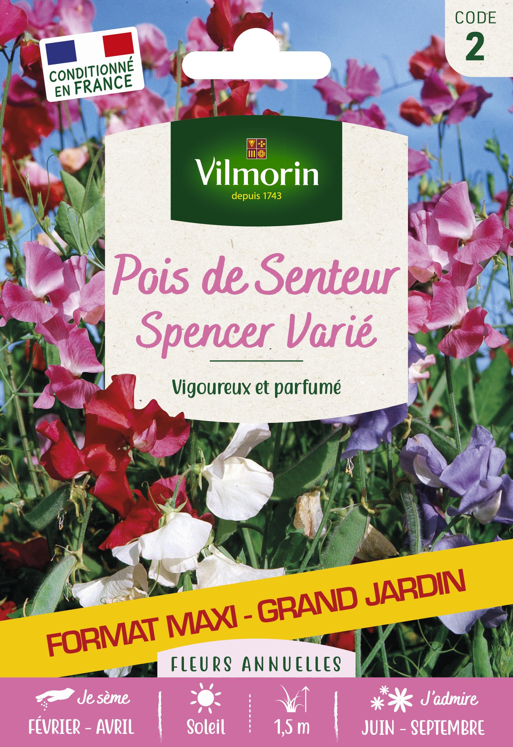 Graines de pois de senteur VILMORIN 15 g Leroy Merlin — free download