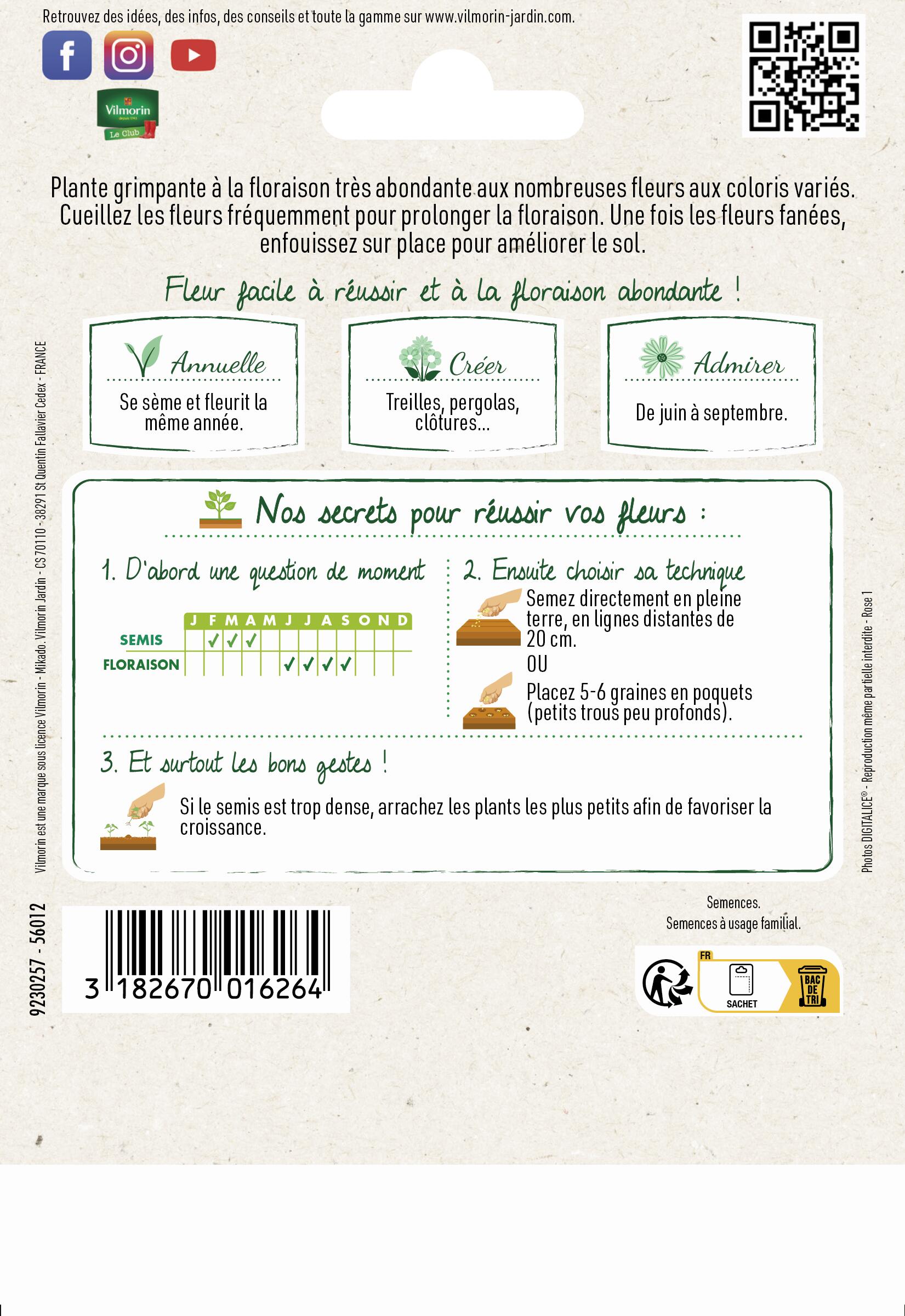Graines de pois de senteur VILMORIN 15 g - 2