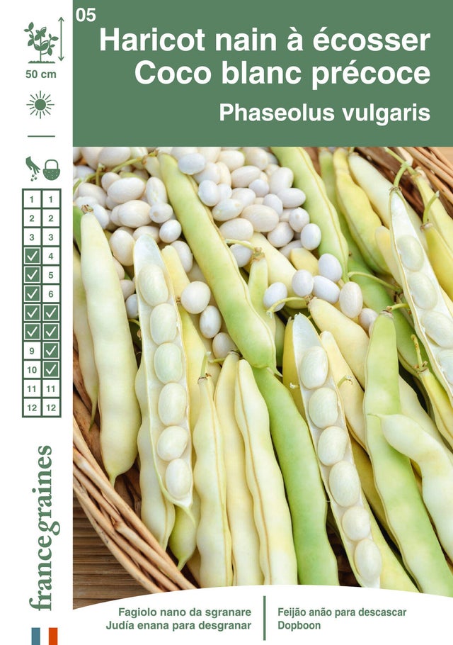 Graines de coco au meilleur prix Leroy Merlin — free download