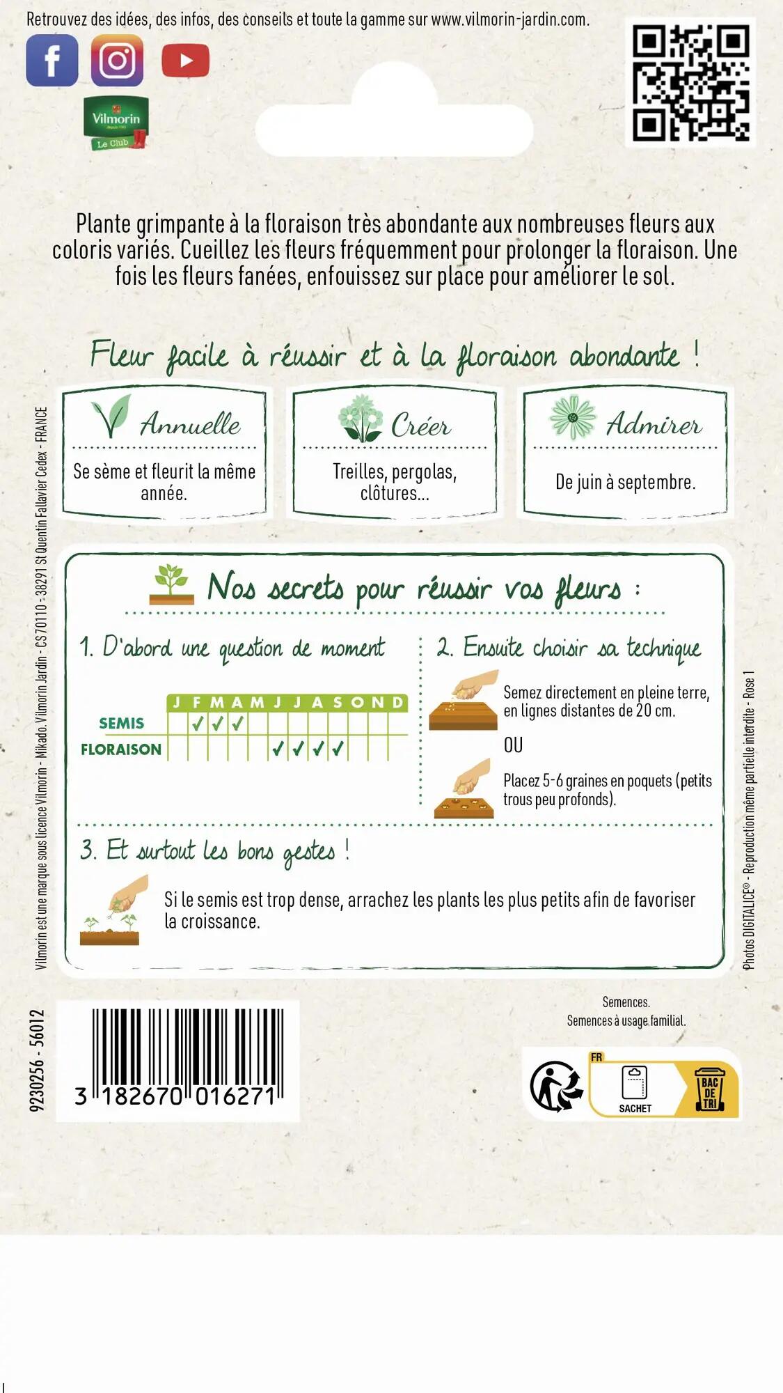 Graines de pois de senteur spencer VILMORIN 5 g - 2