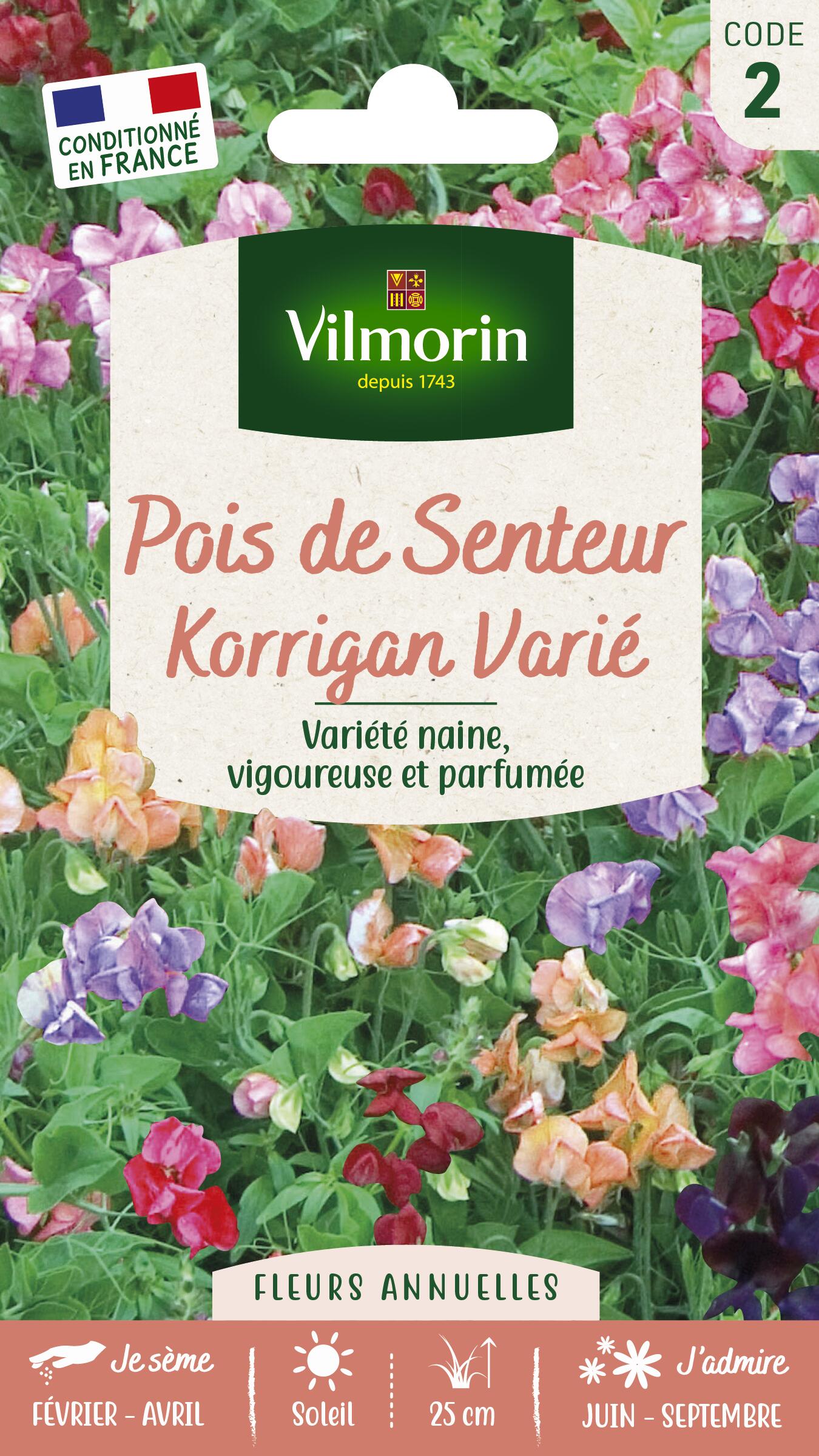 Graines de pois de senteur korrigan VILMORIN 5 g Leroy Merlin — free download
