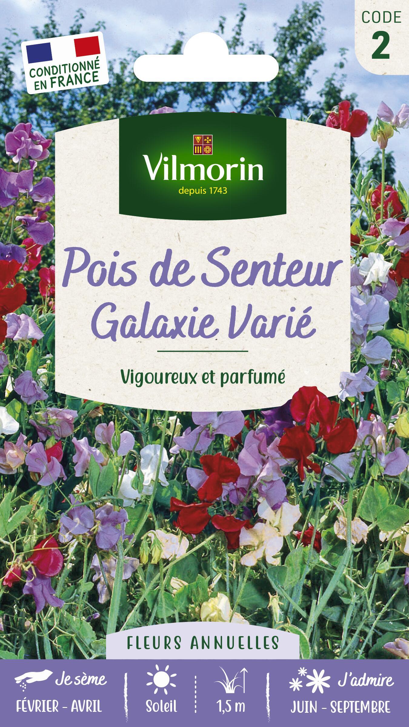 Graines de pois de senteur galaxie VILMORIN 5 g Leroy Merlin — free download
