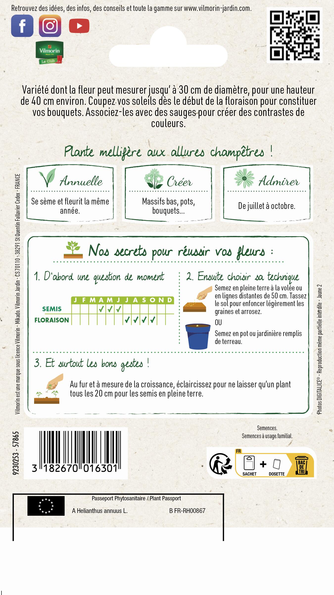 Graines de tournesol nain  VILMORIN 1.5 g - 2