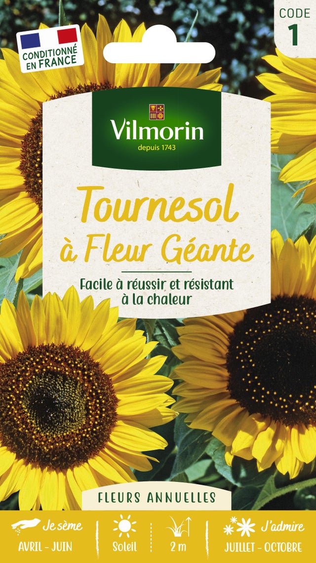 Graines de tournesol fleur géante VILMORIN 1.5 g