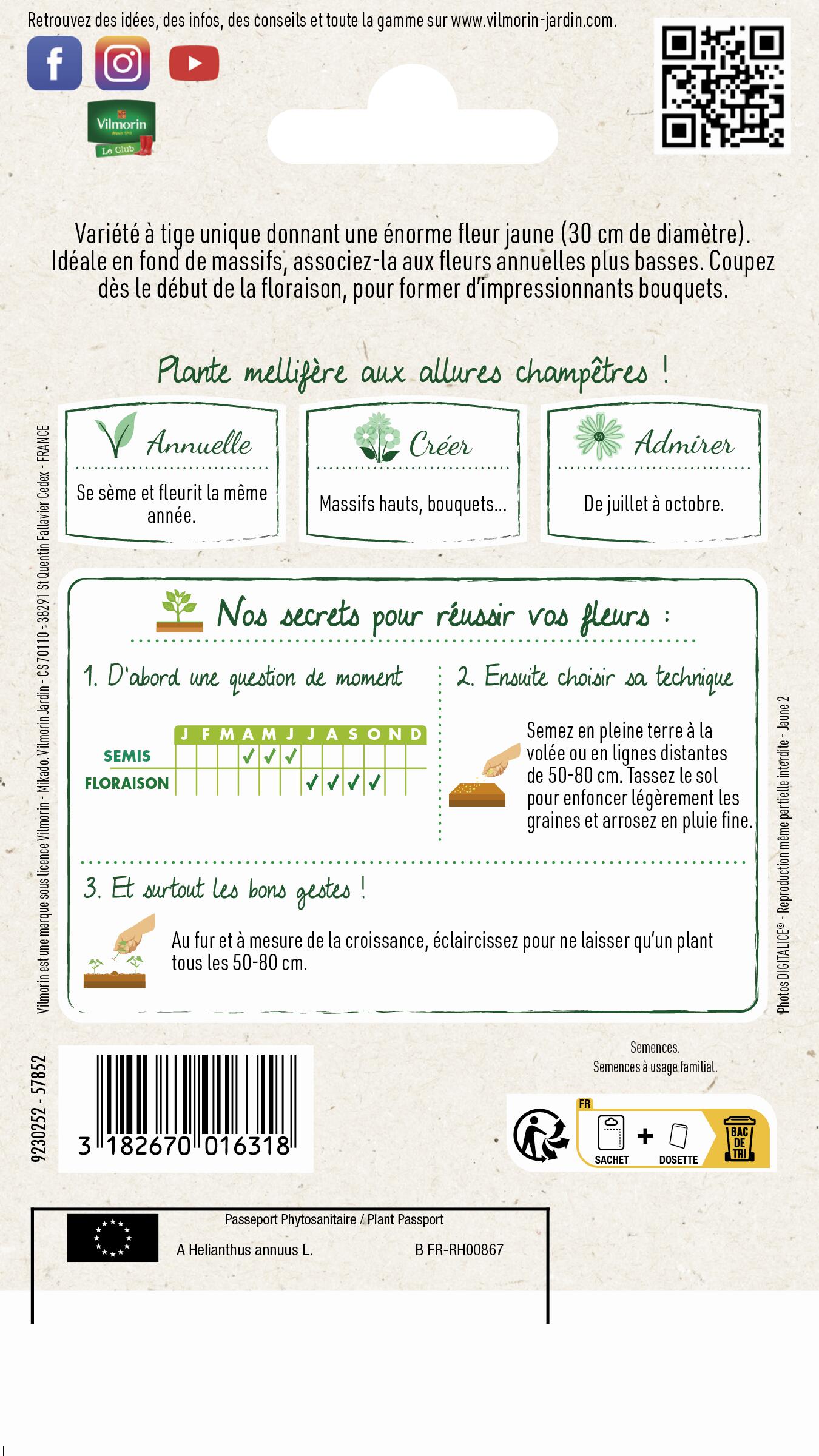 Graines de tournesol fleur géante VILMORIN 1.5 g - 2