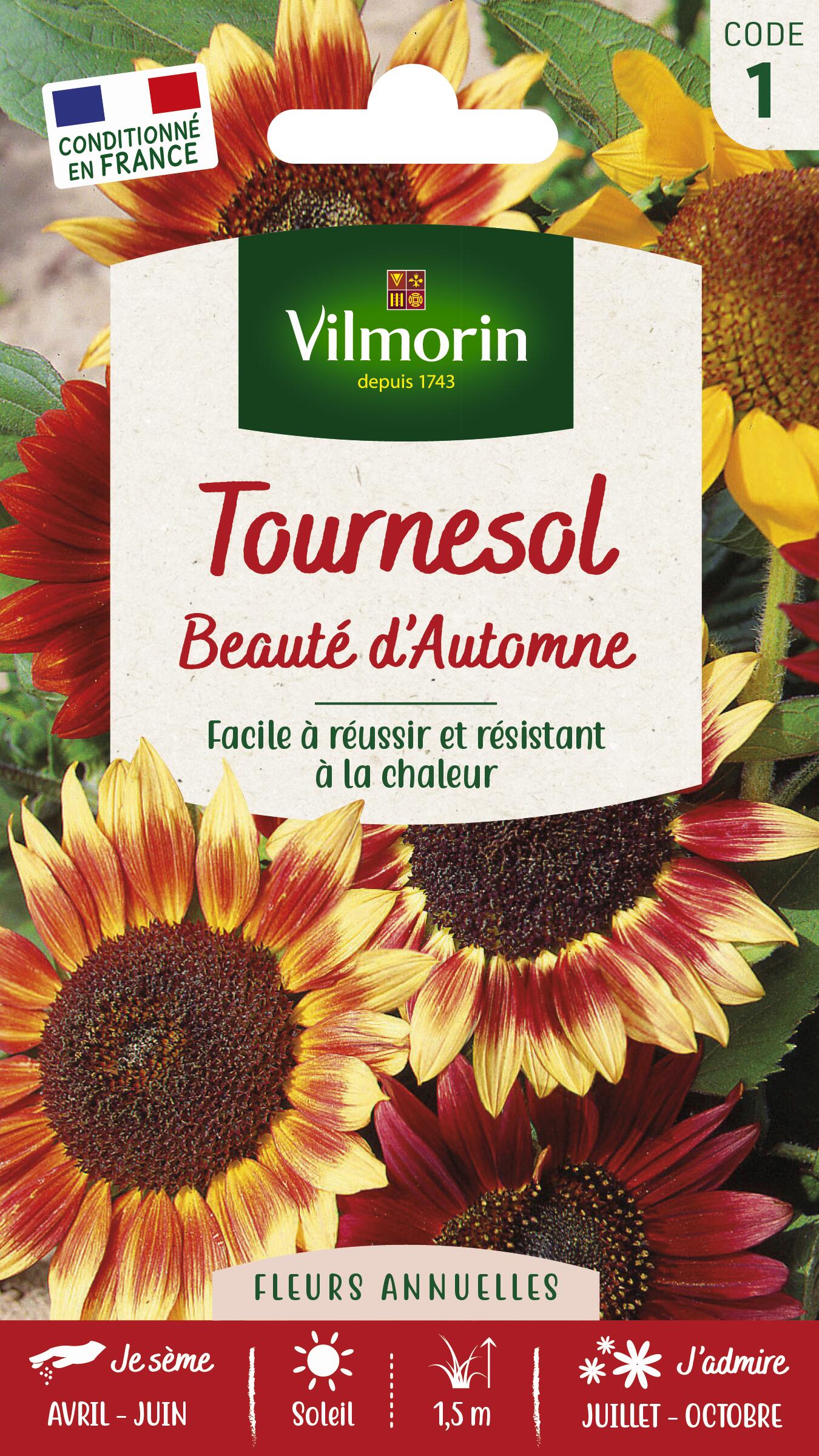 Beauté d'automne VILMORIN 1.5 g Leroy Merlin