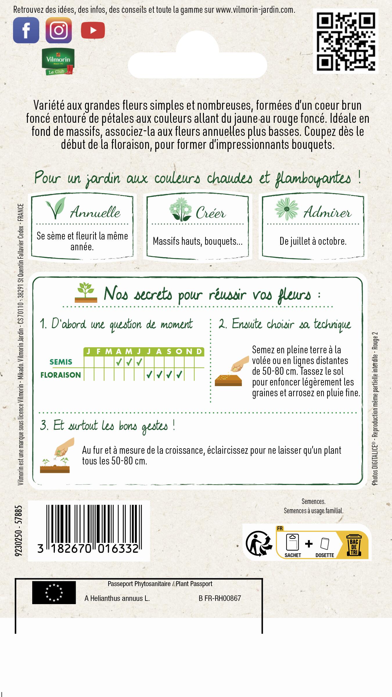 Graines de tournesol  VILMORIN 1.5 g - 2