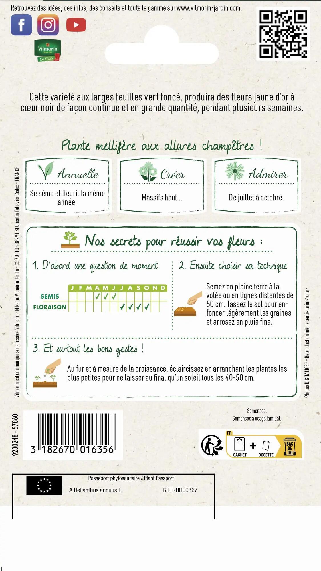 Graines de tournesol VILMORIN 1 g - 2