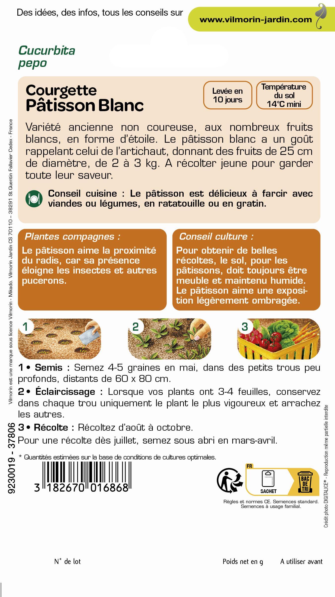 Graines de patisson blanc VILMORIN 5 g - 2