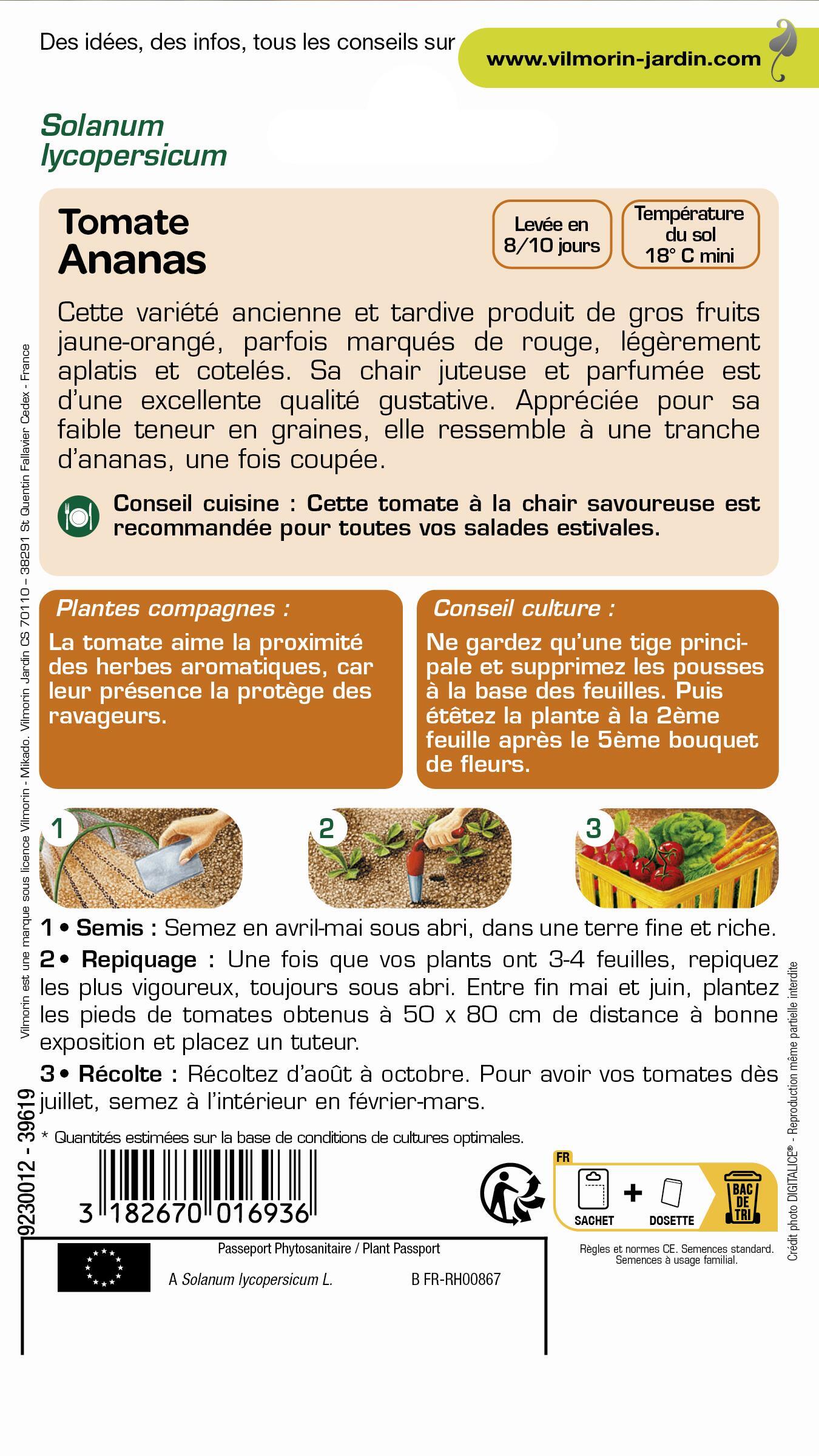 Graines de tomate ananas VILMORIN 0.2 g - 2