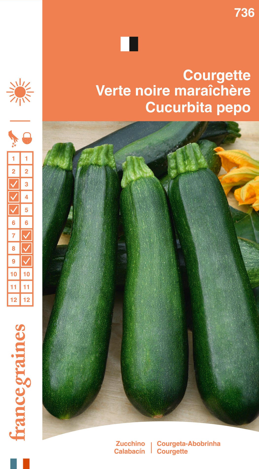 Graines de courgette verte noire maraichere FRANCE GRAINES 3 g | Leroy ...