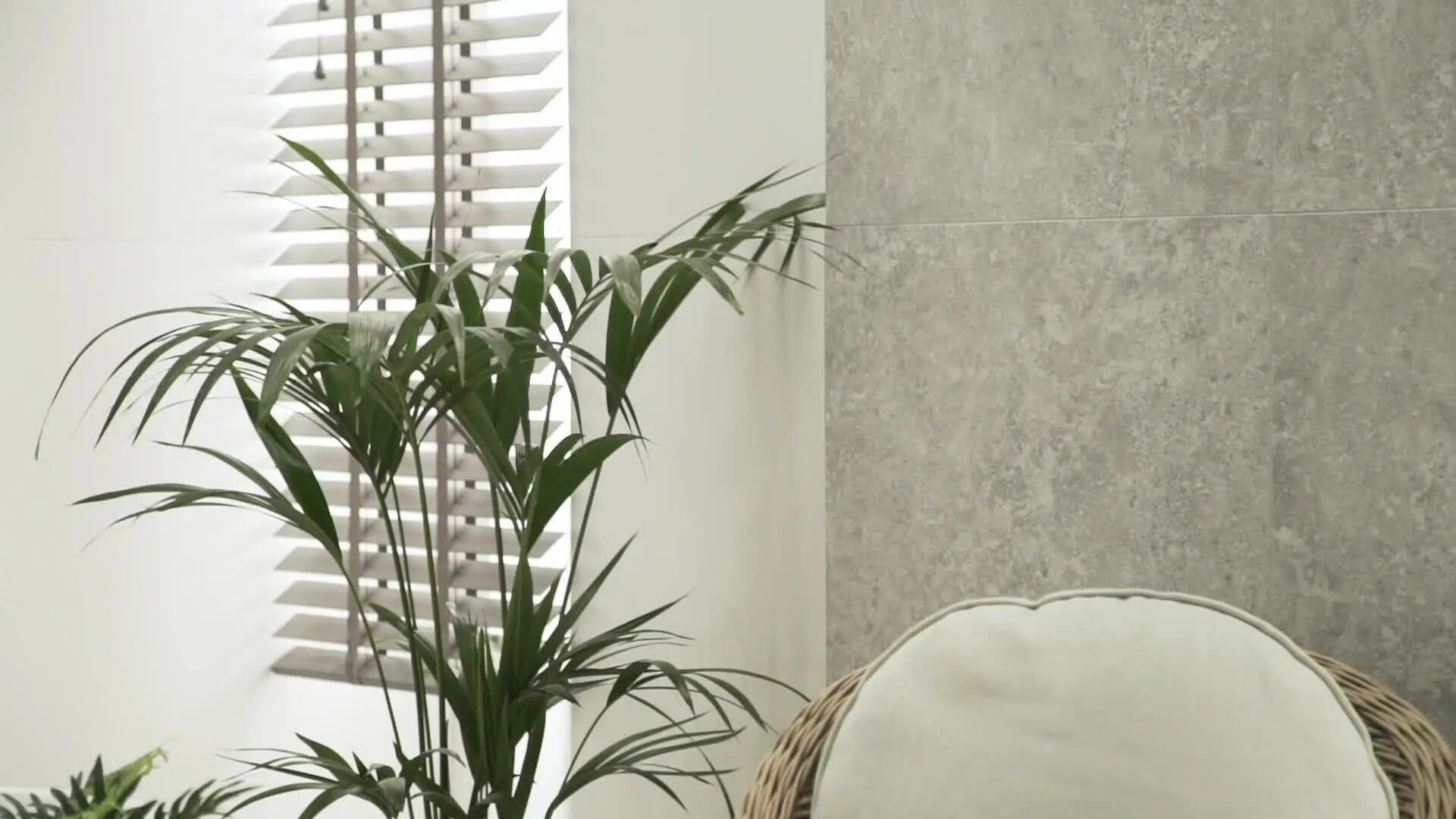 Glazura Satini White 59.8x119.8 Arte - 2