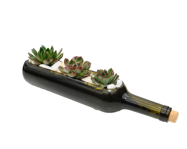 Sukulenty w szklanej butelce 12cm mix