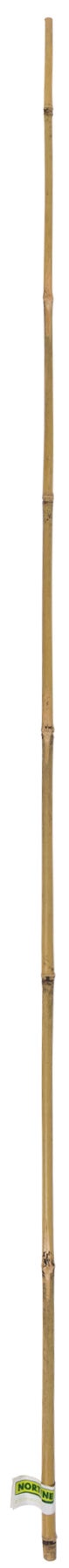 1 bambou droit H.1.8 m NORTENE