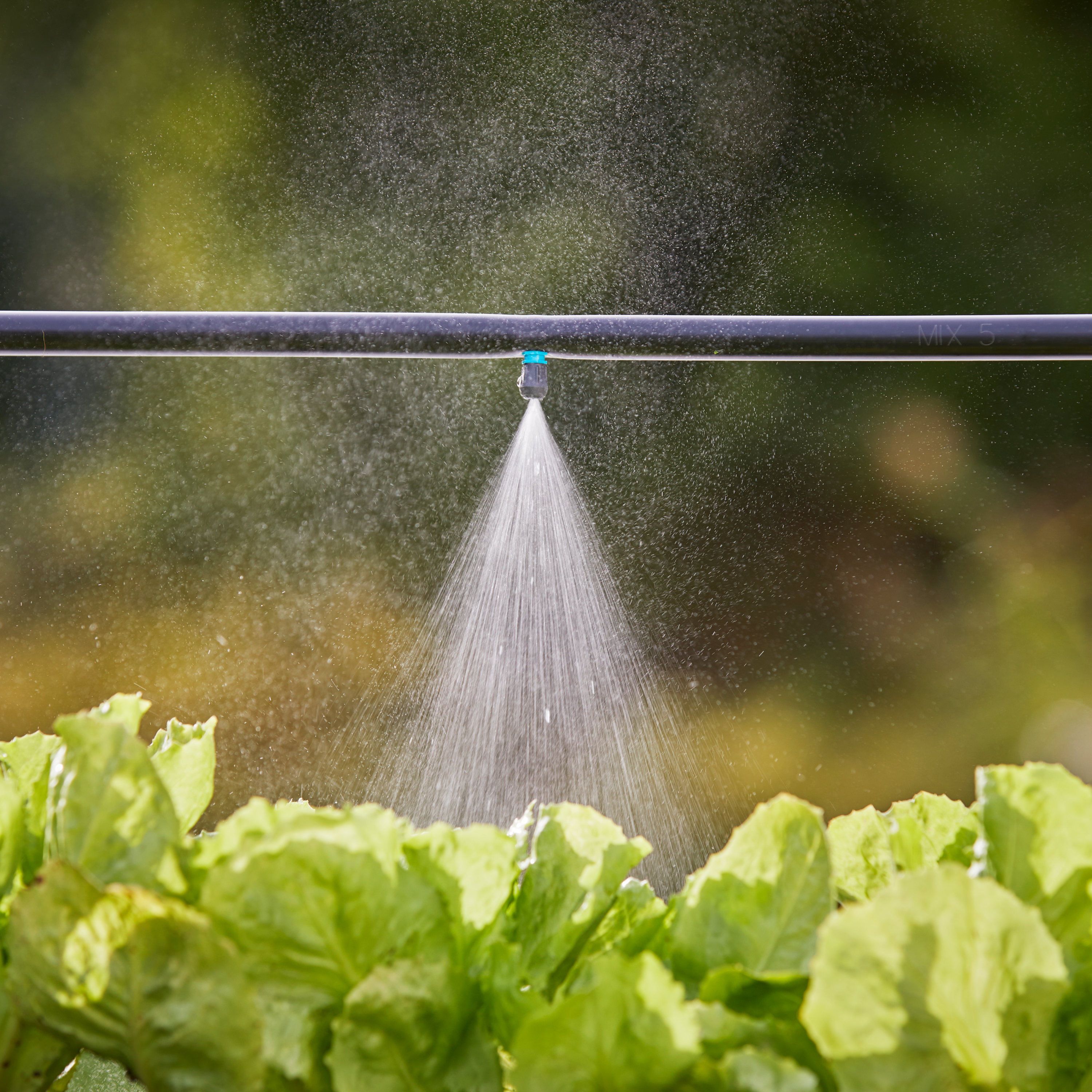 Brumisation de vos plantes et légumes via l'arrosage goutte-à-goutte GARDENA - 0