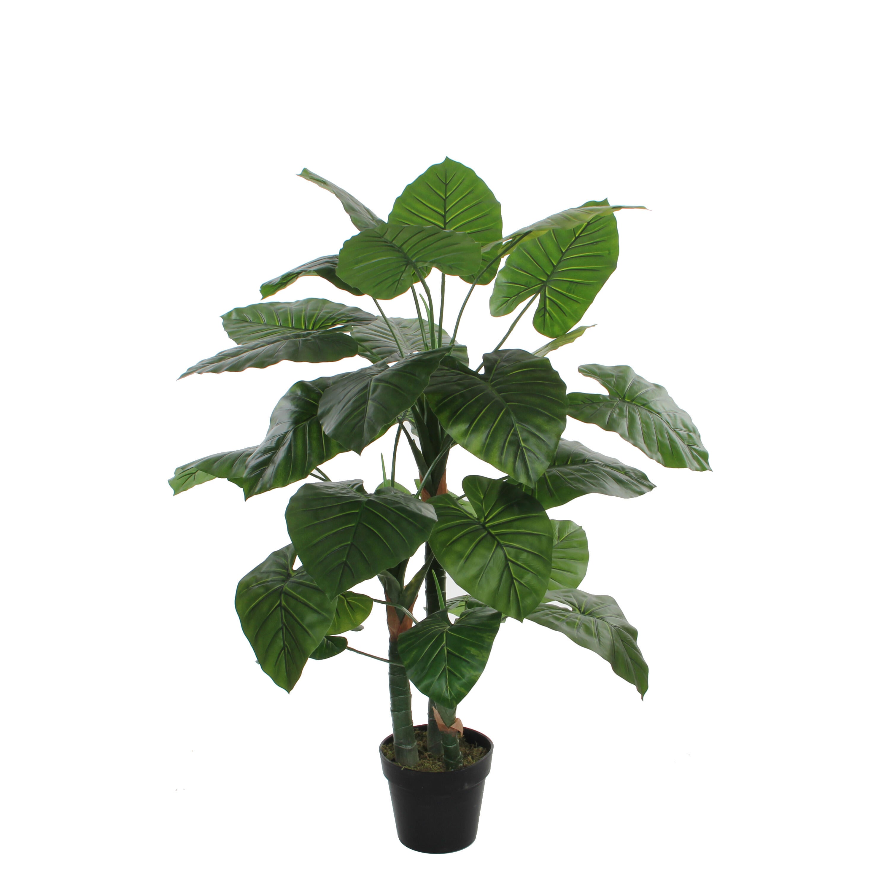 Planta artificial taro en maceta verde 120cm