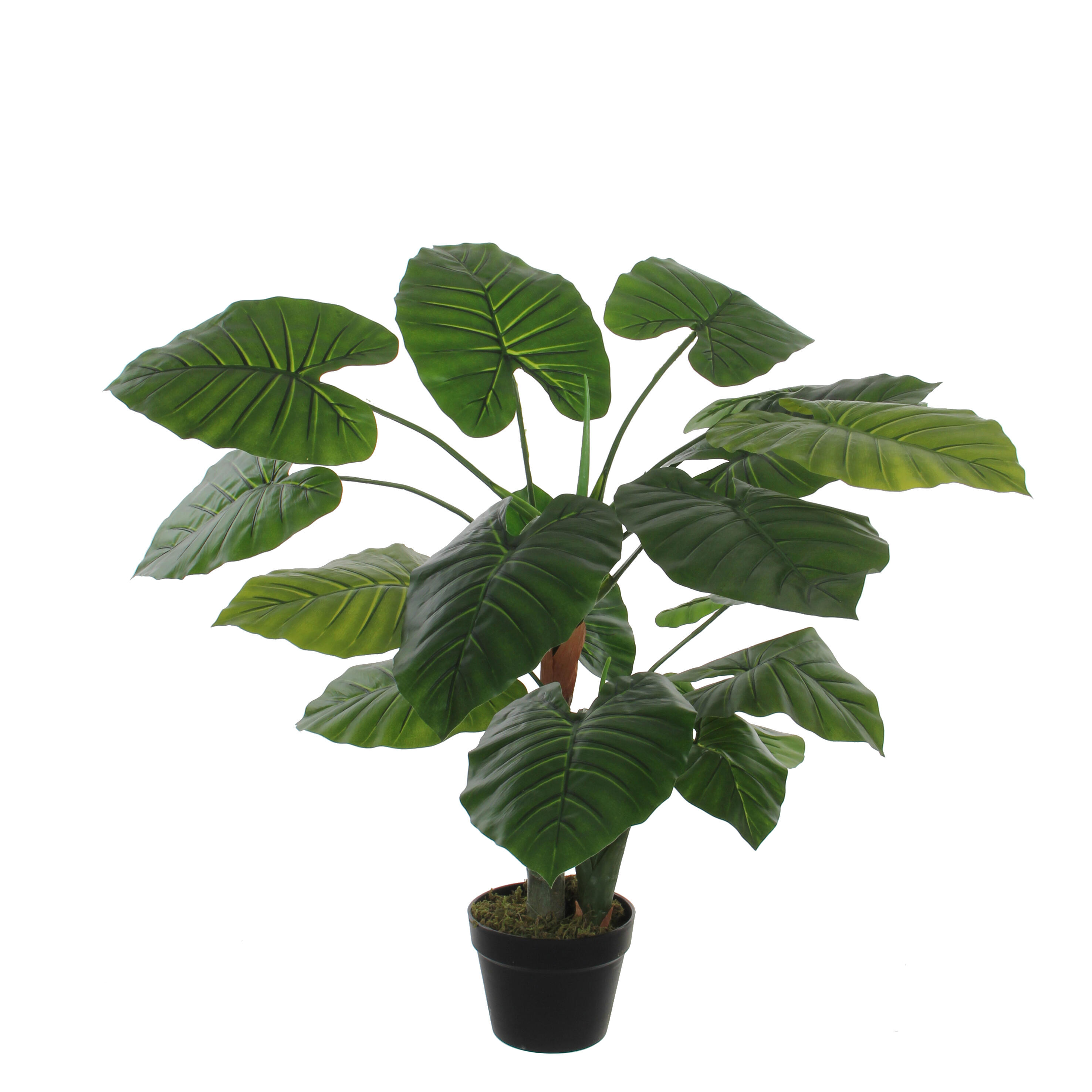 Planta artificial taro en maceta verde 90cm