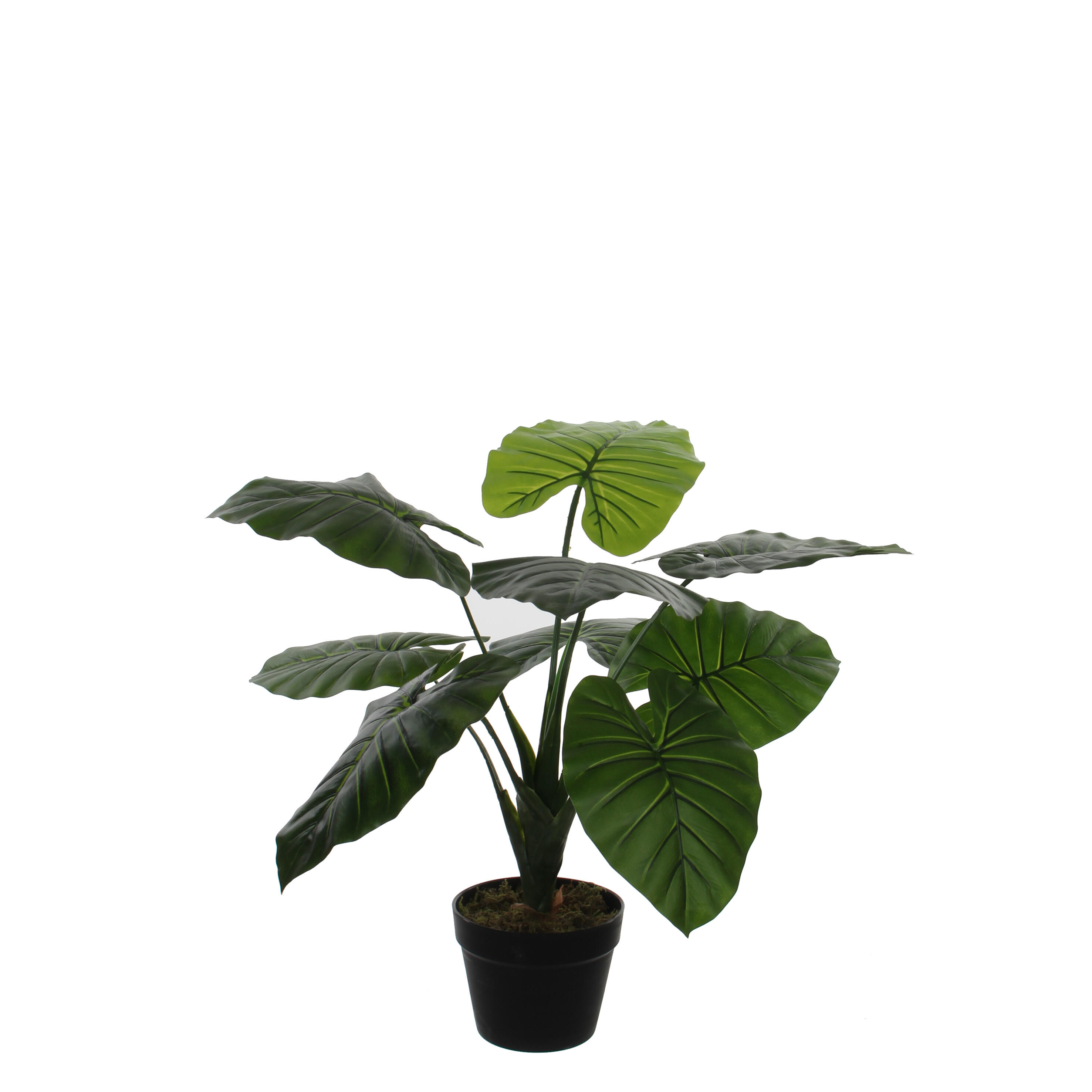 Planta artificial taro en maceta verde 60cm