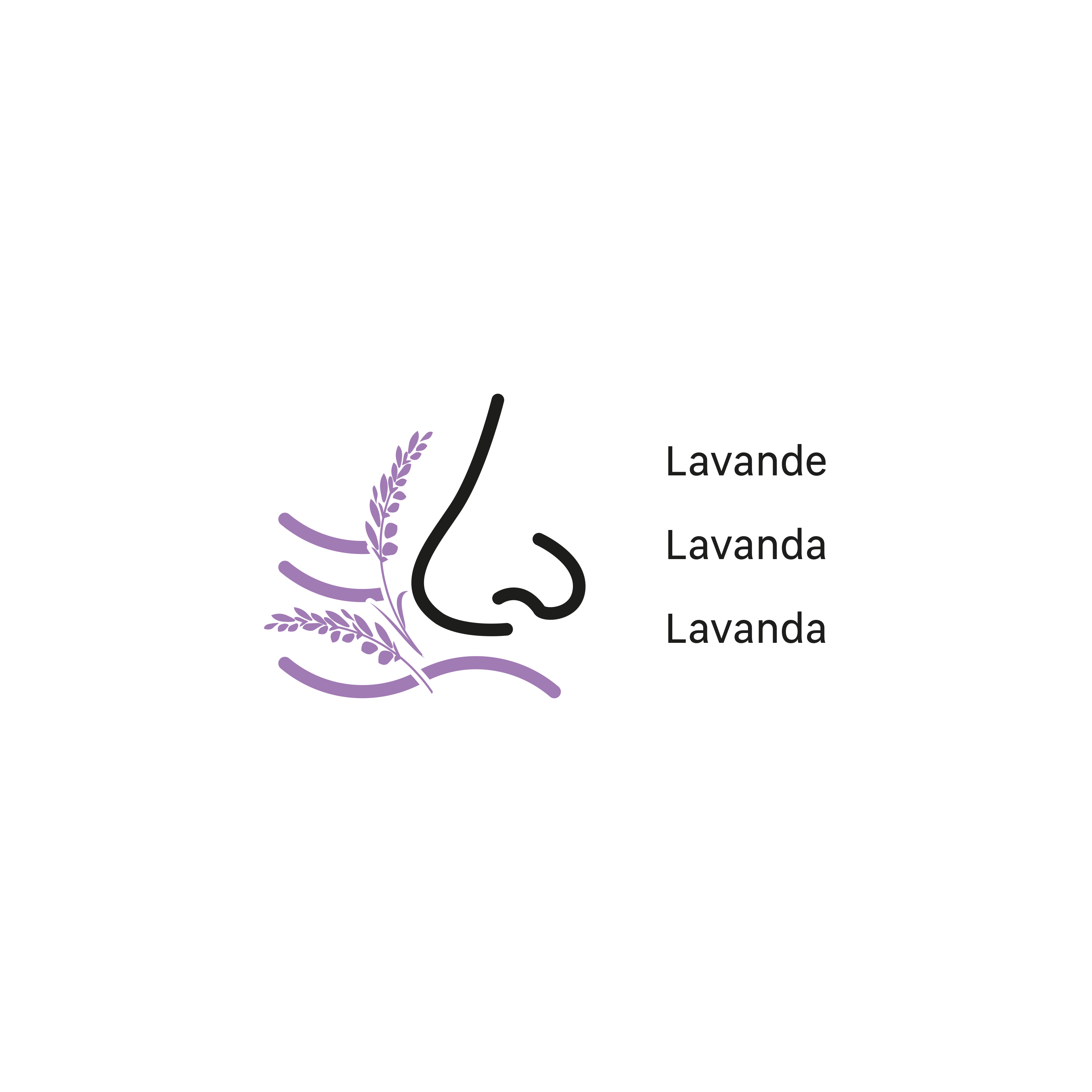 2 recargas absorvente humidade Equation 450GR lavanda - 4