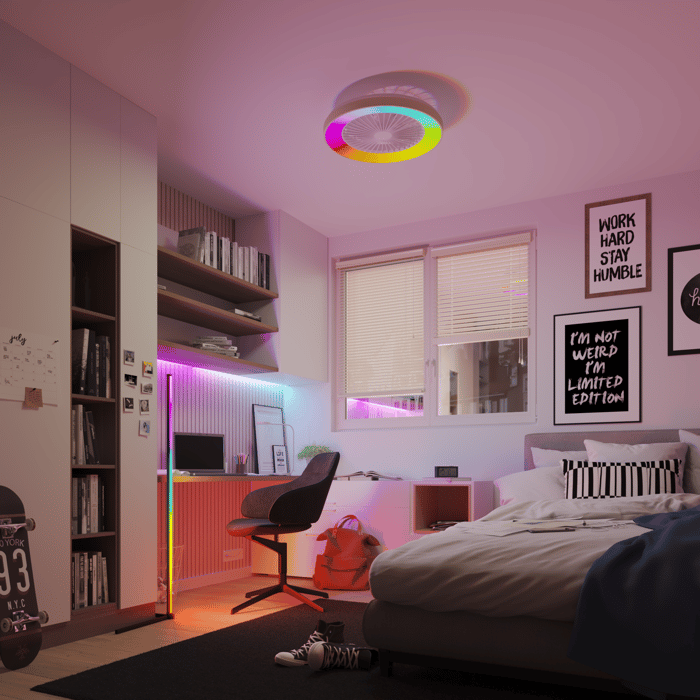 silent ceiling fan inspire