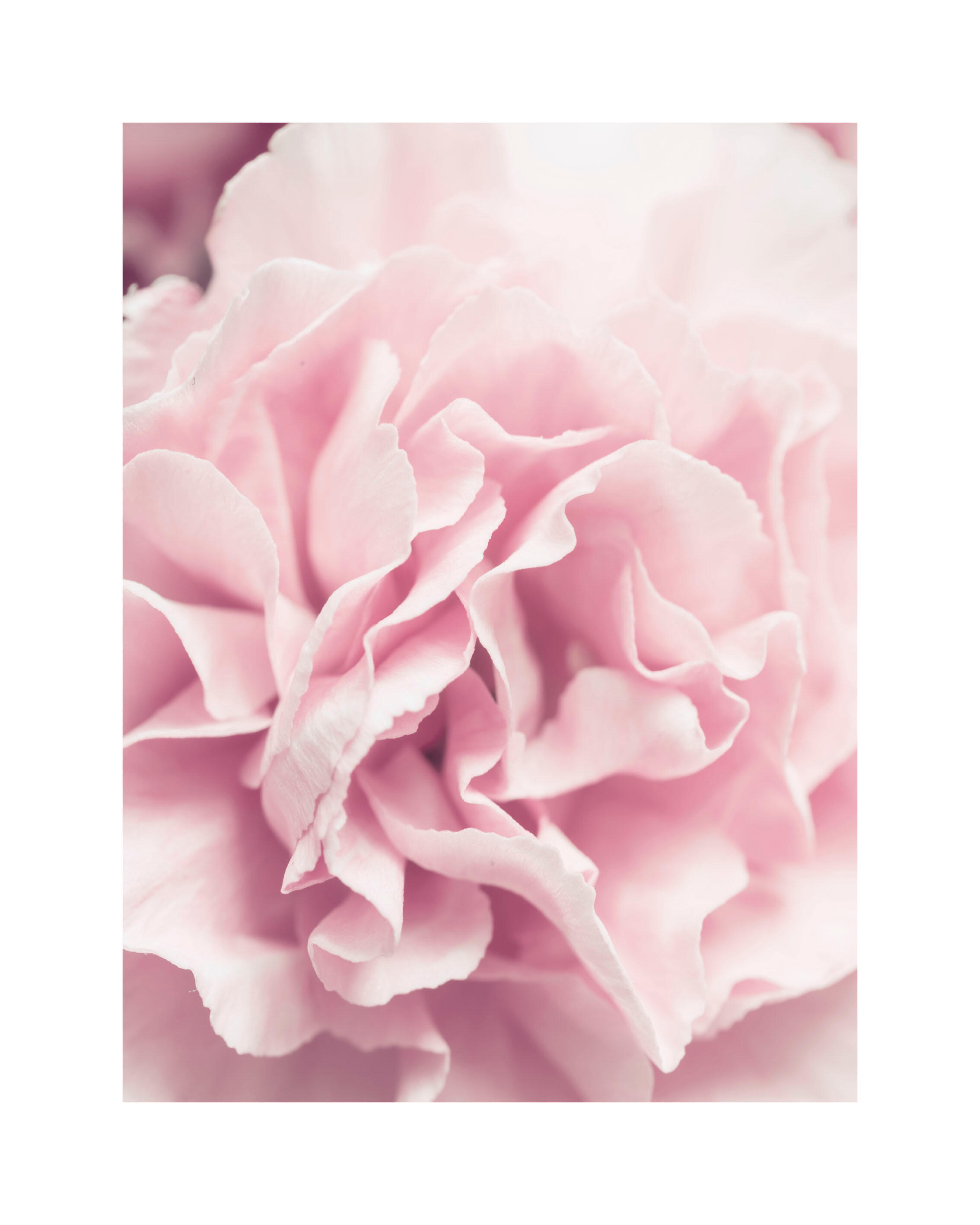 Set de 7 láminas Bon voyage 70 x 50 cm - 5