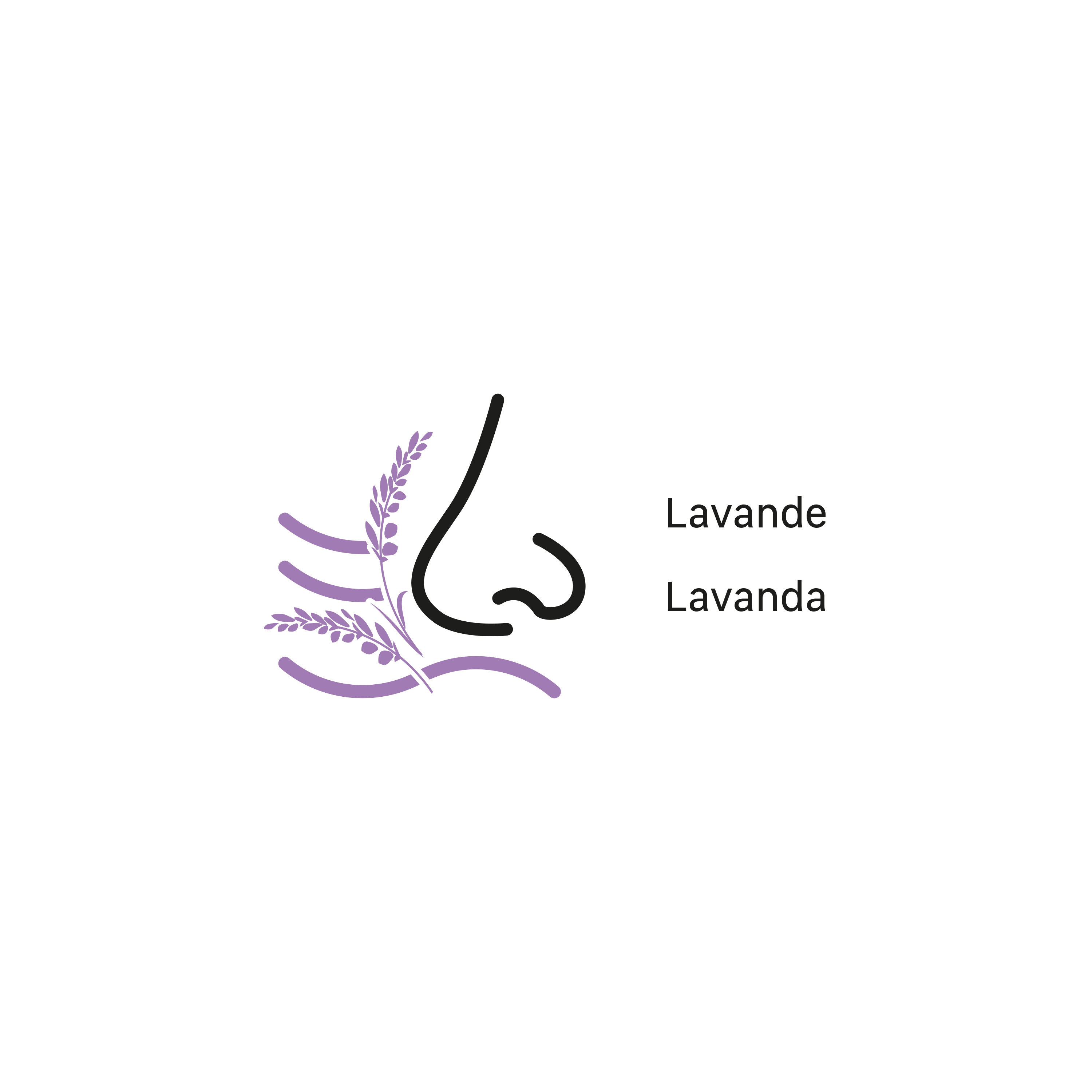 2 recargas absorvente humidade Equation 450GR lavanda - 3
