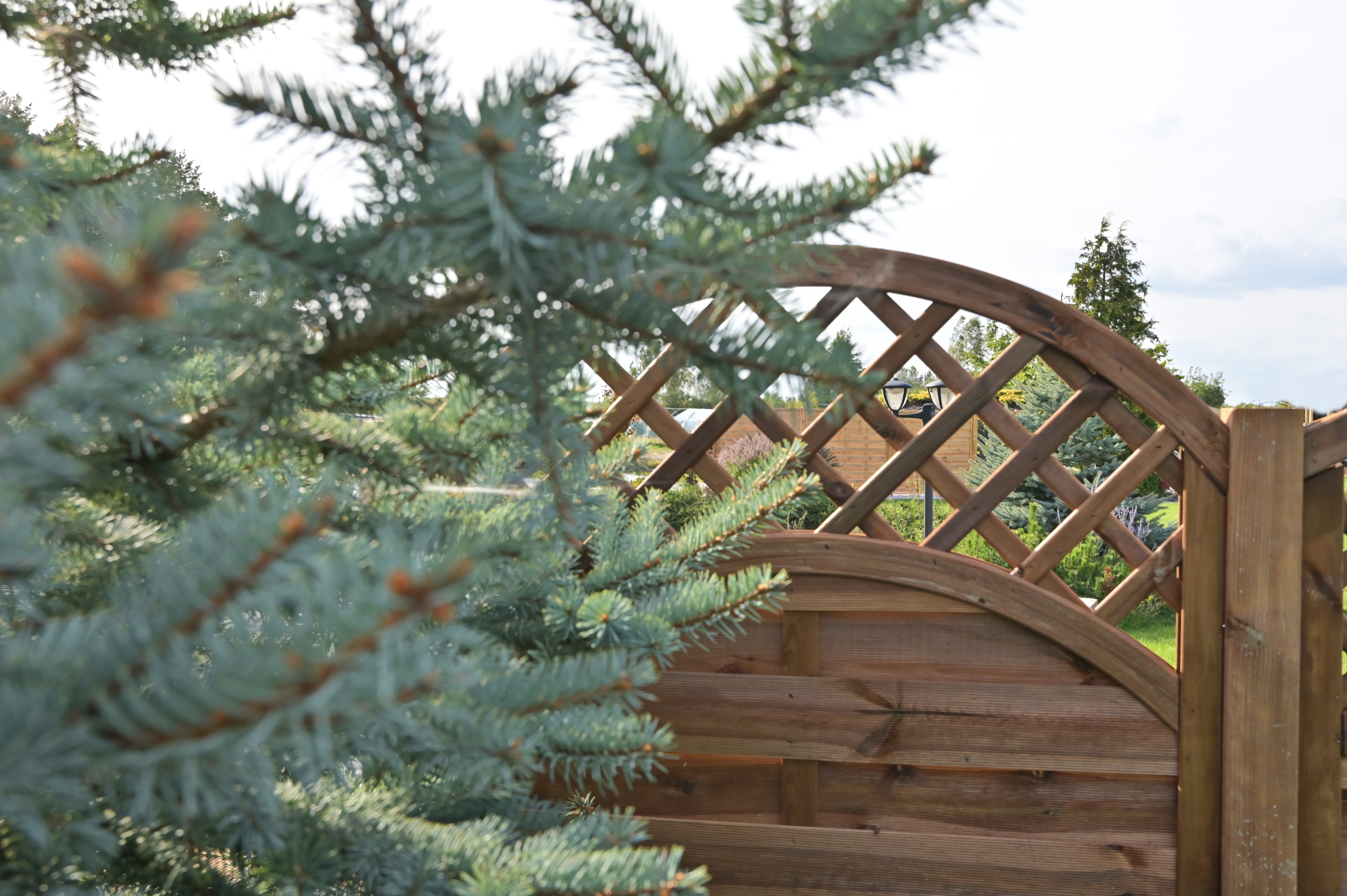 Płot szczelny z łukiem i kratką Nive 90x180 cm Naterial - 2