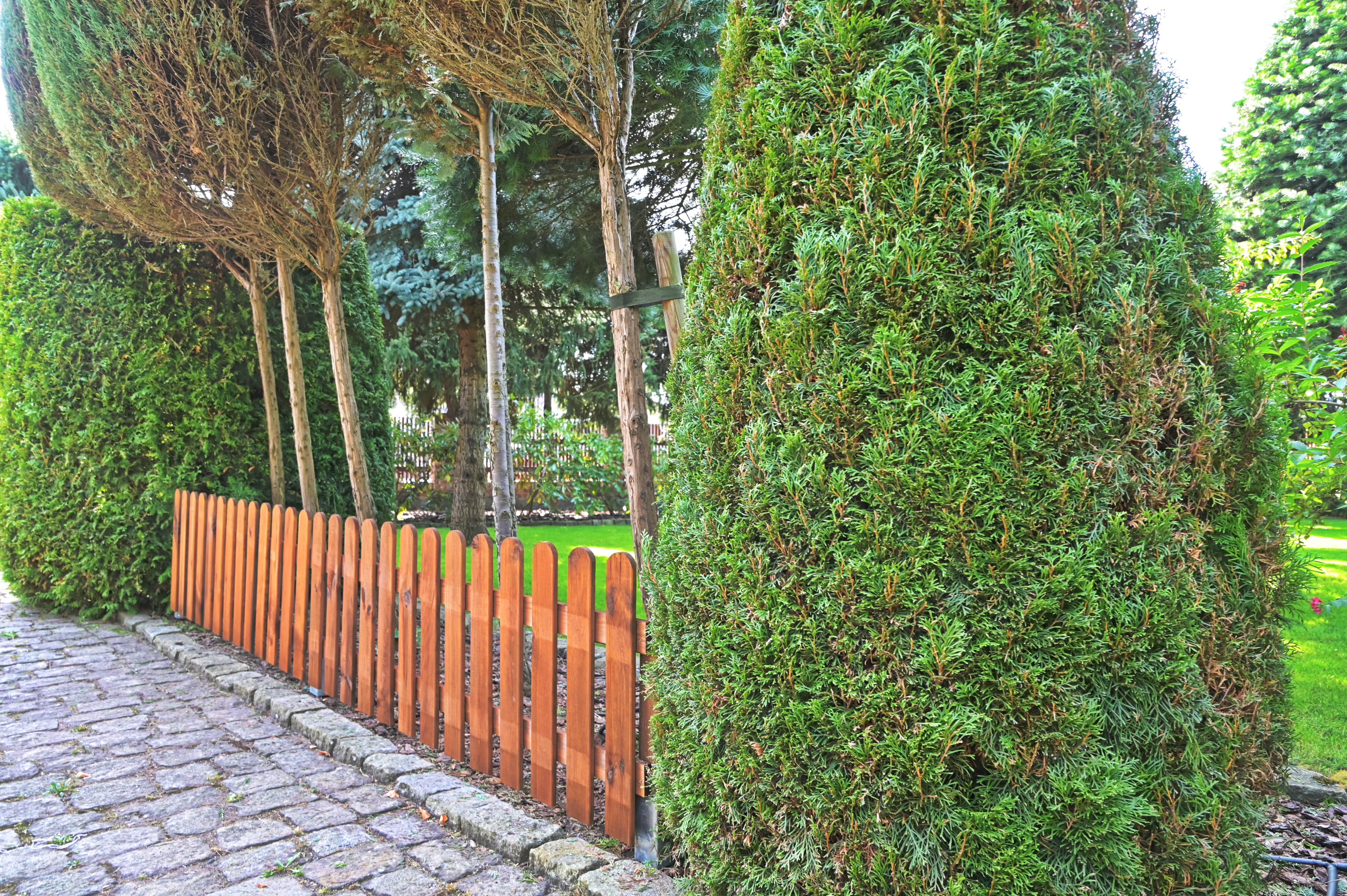 Płotek sztachetowy Nive 180x60 cm drewniany Naterial - 4