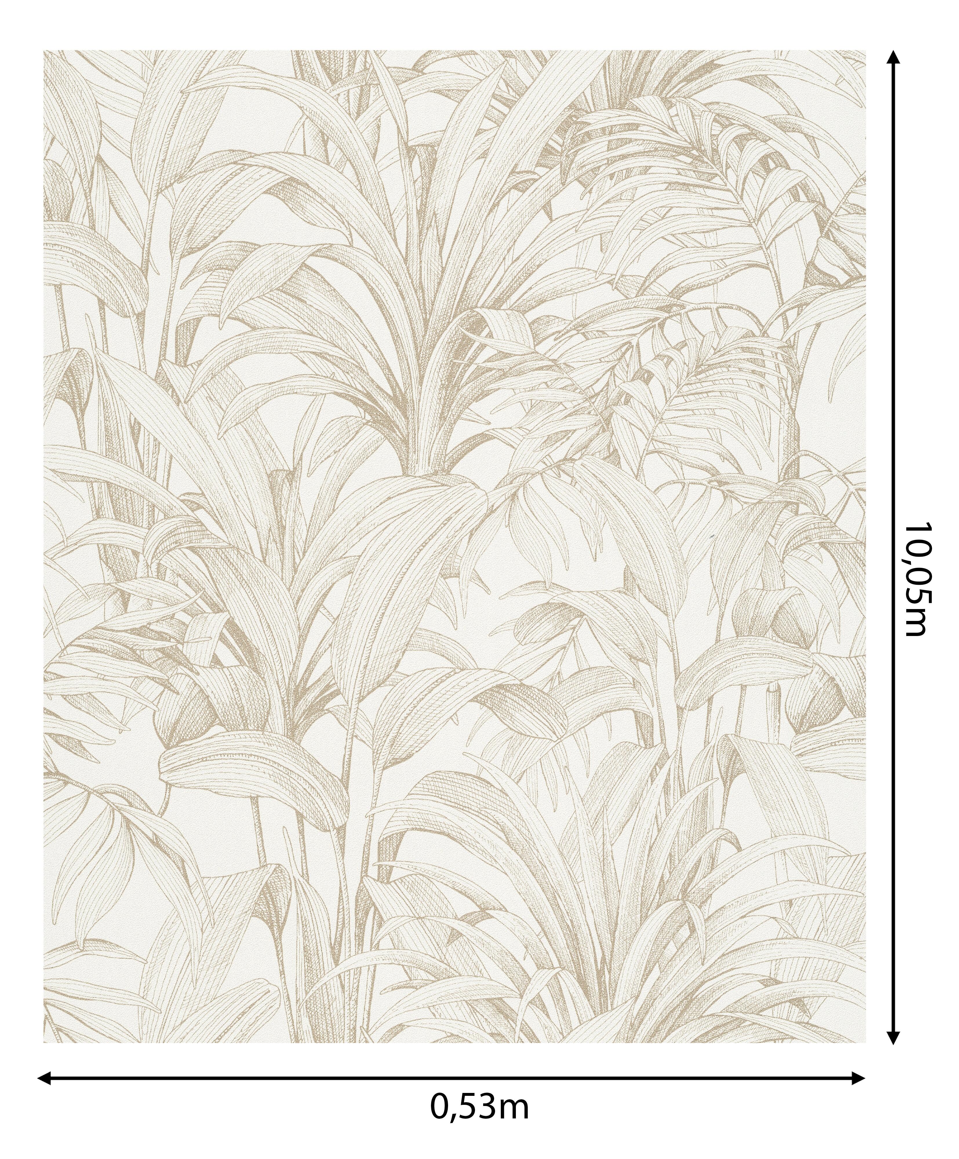 Papel de parede Folhas de Palmeira bege - 8