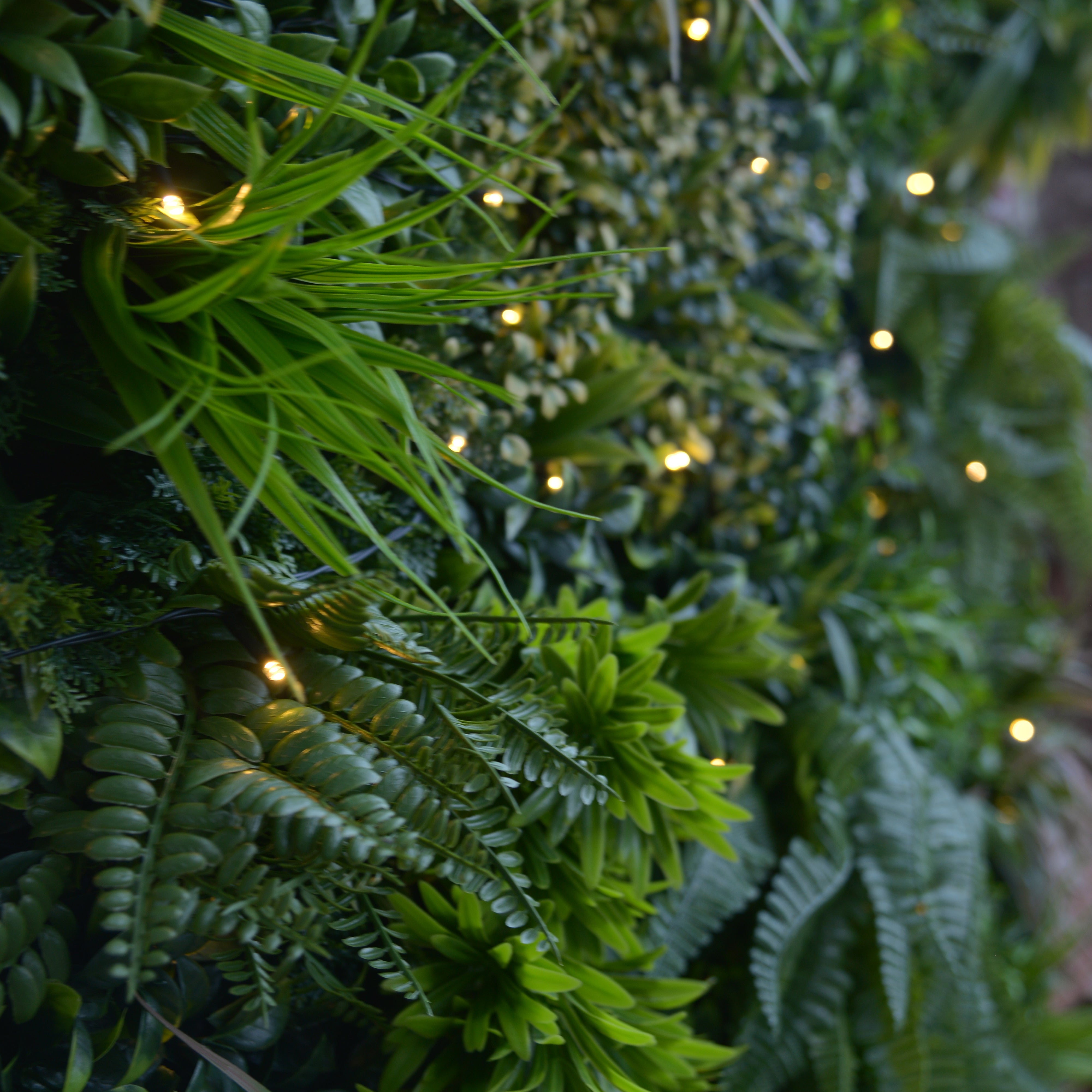 Giardino verticale parete Jungle LED in polietilene alta densità, multicolore H 1 m x L 1 m - 11