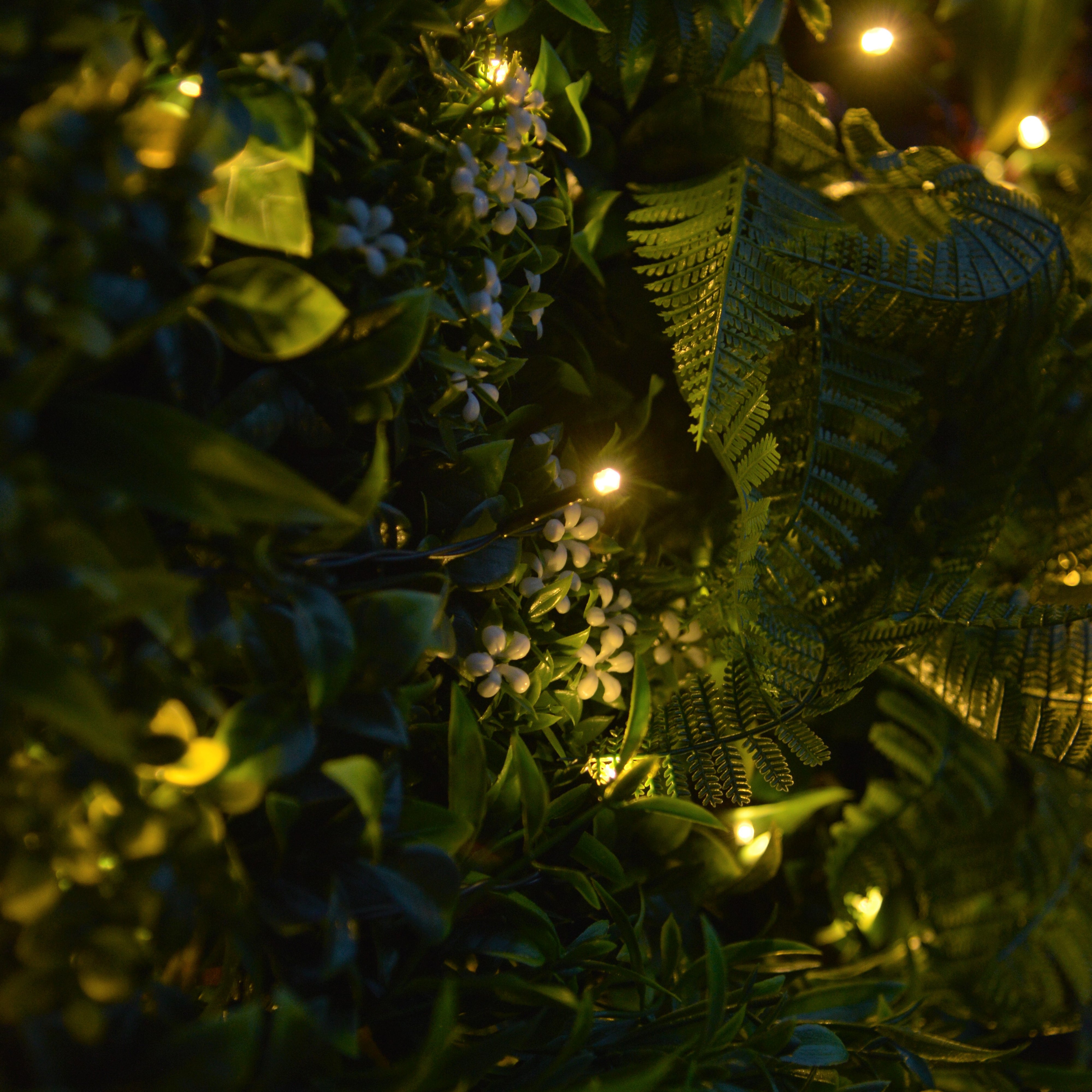 Giardino verticale parete Jungle LED in polietilene alta densità, multicolore H 1 m x L 1 m - 10