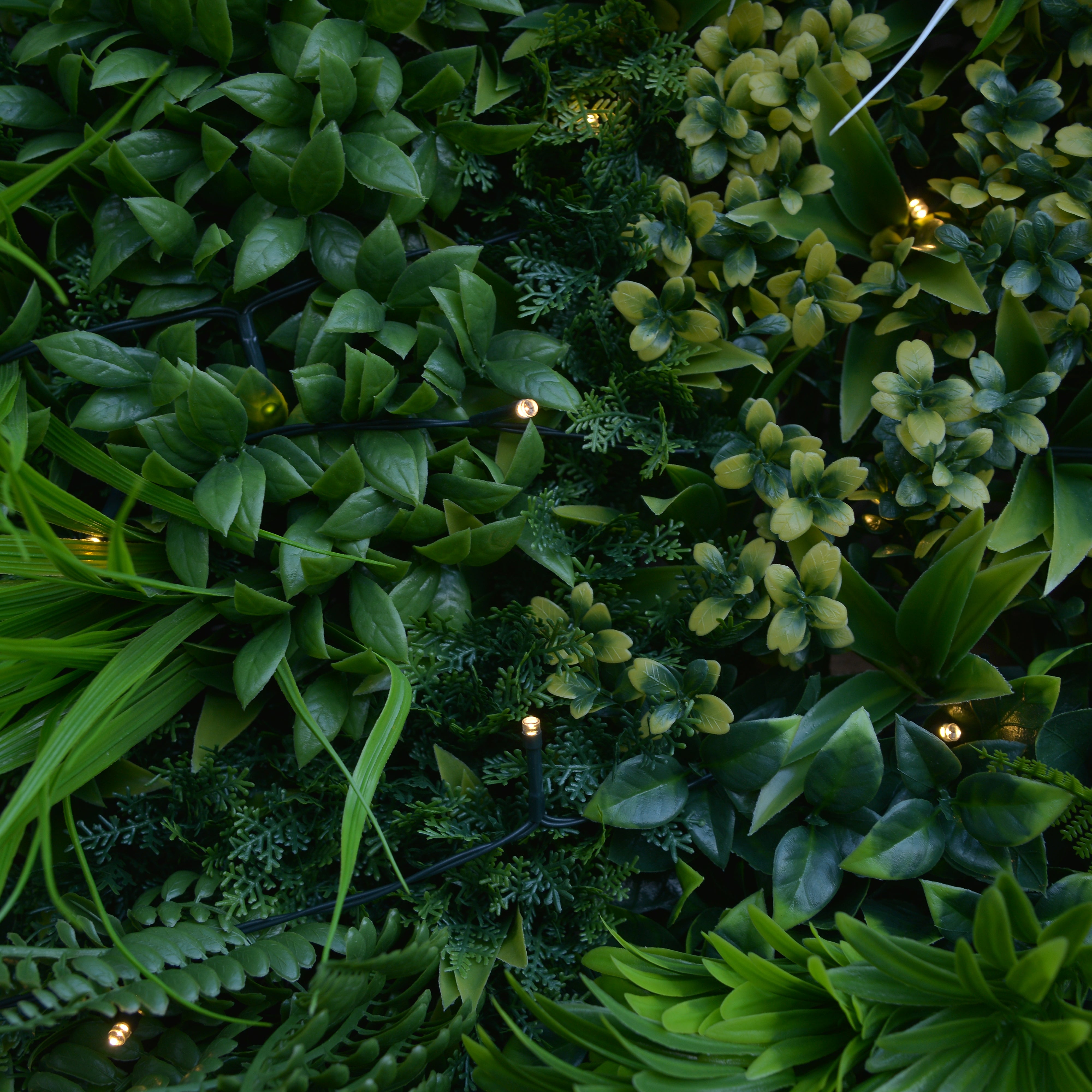 Giardino verticale parete Jungle LED in polietilene alta densità, multicolore H 1 m x L 1 m - 9