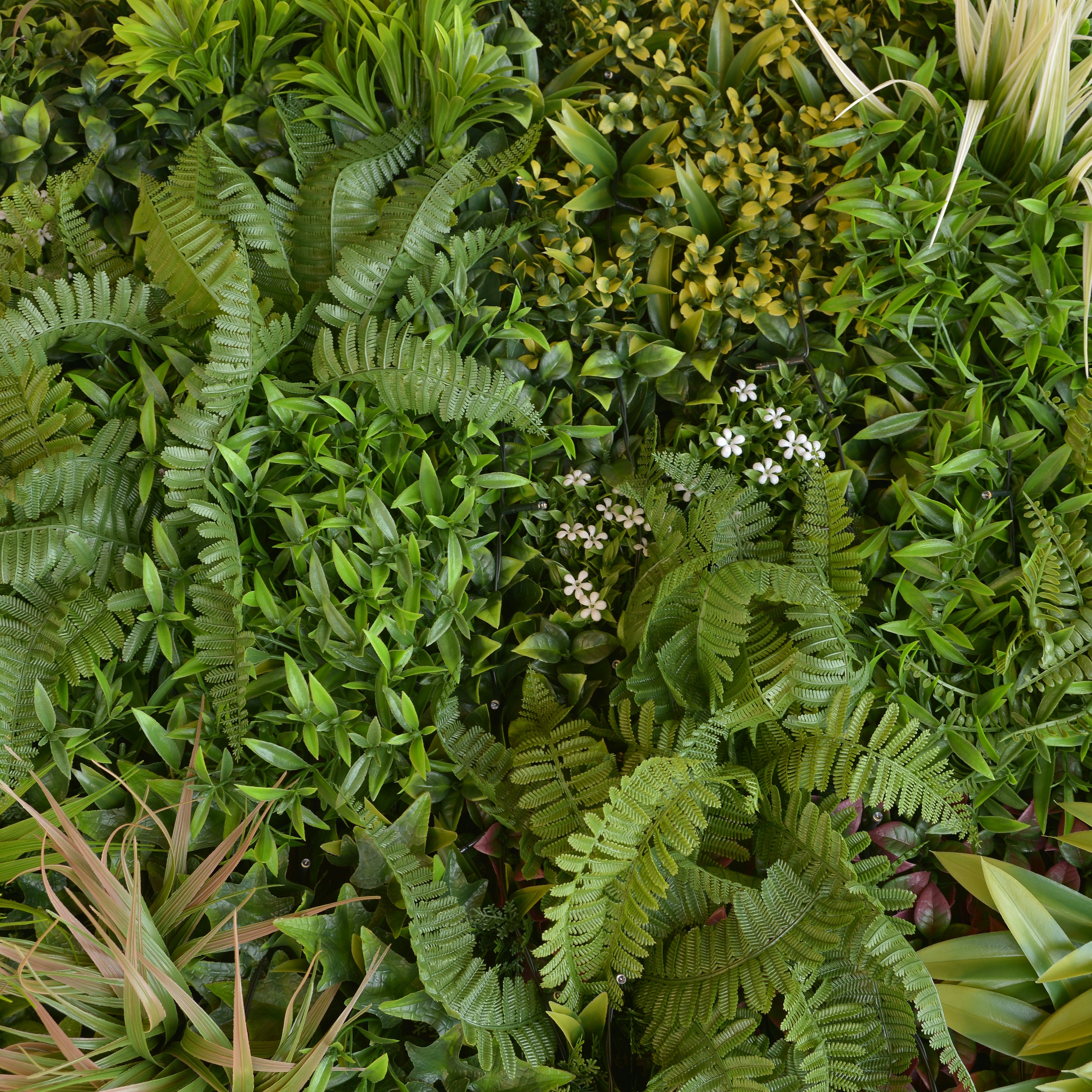 Giardino verticale parete Jungle LED in polietilene alta densità, multicolore H 1 m x L 1 m - 7
