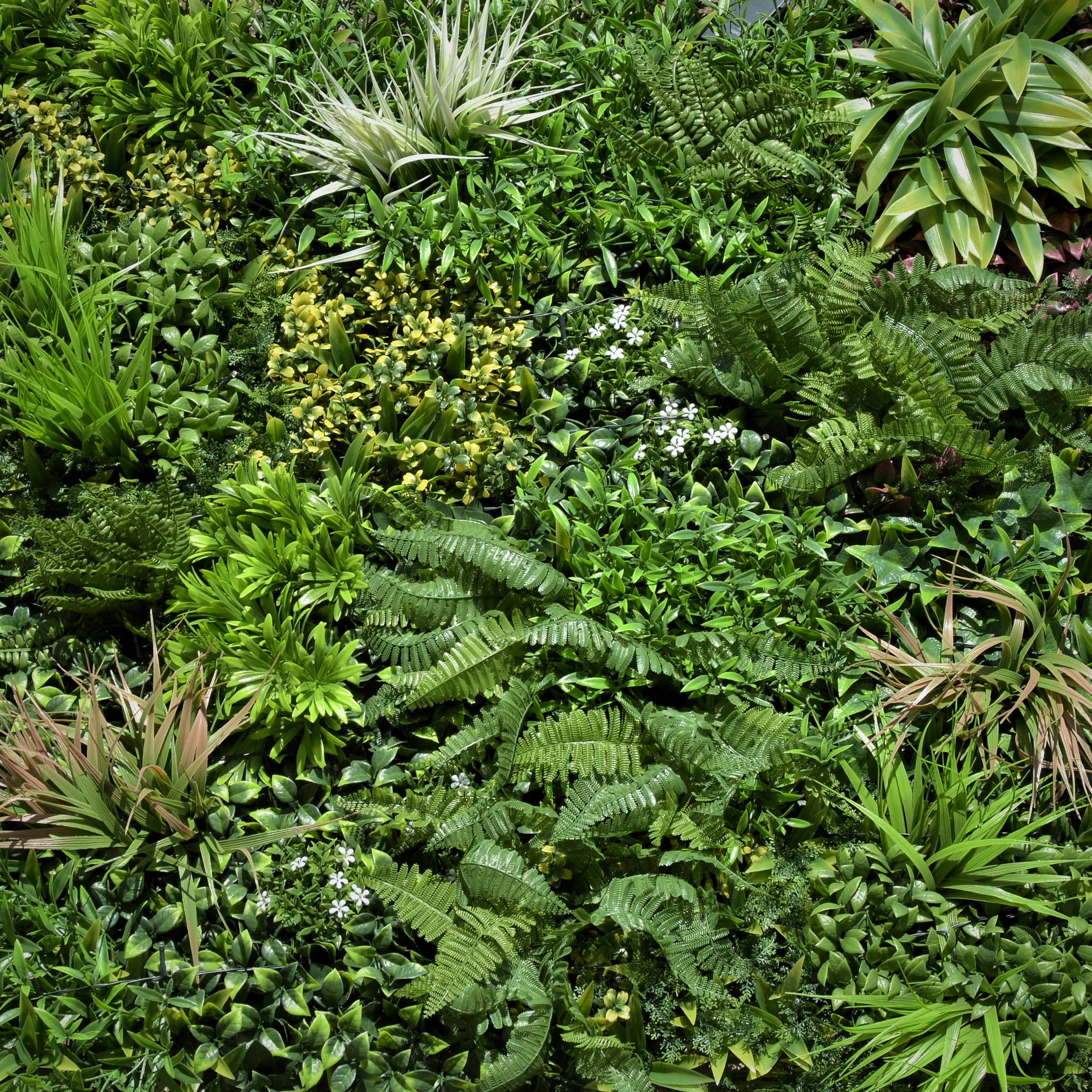 Giardino verticale parete Jungle LED in polietilene alta densità, multicolore H 1 m x L 1 m - 5
