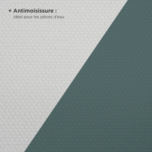 Toile de verre à peindre 145 g/m² Maille antimoisissures, l.1 x L.20 m