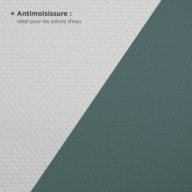 Toile de verre à peindre 145 g/m² Maille antimoisissures, l.1 x L.20 m