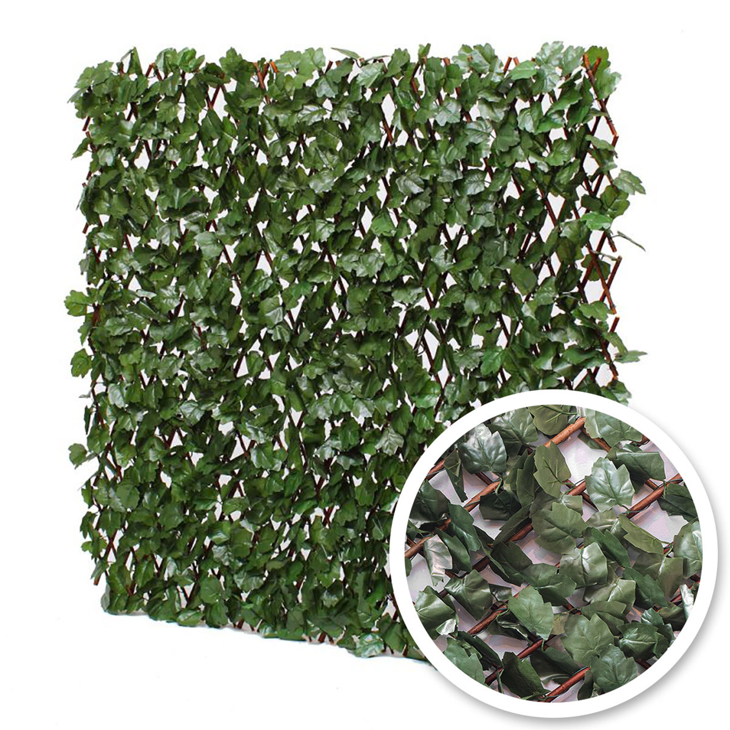 Treillis occultant lierre, H.1 x L.3 m - 2
