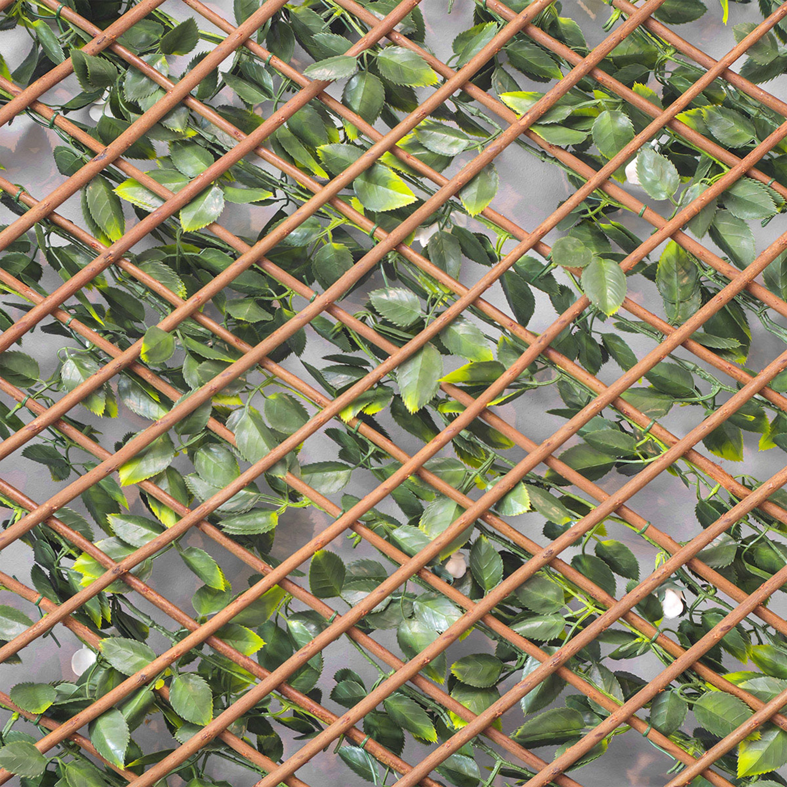 Treillis extensible jasmin, H.1 x L.2 m - 2