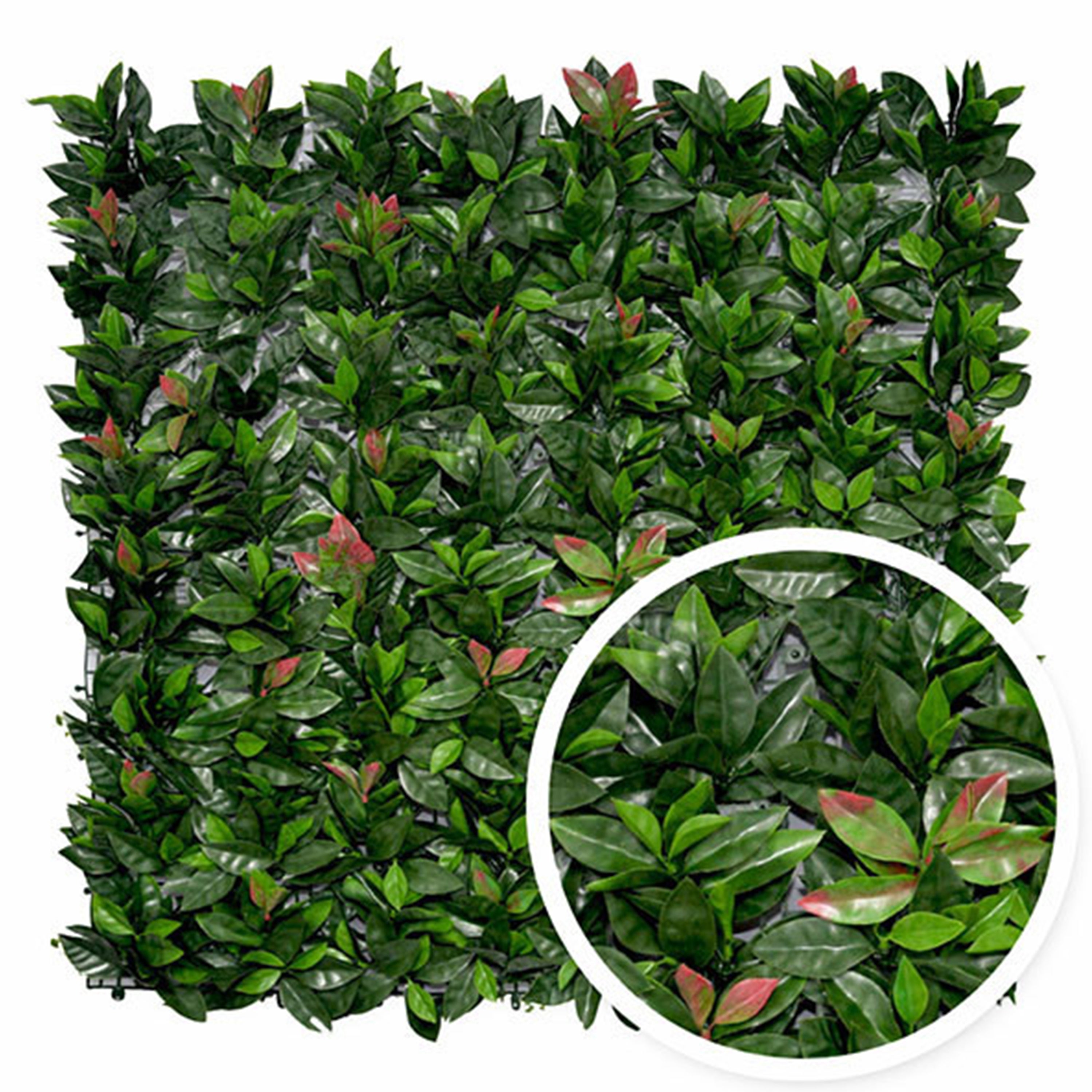Mur végétal artificiel photinia, H.1 x L.1 m, FRANCE GREEN - 7