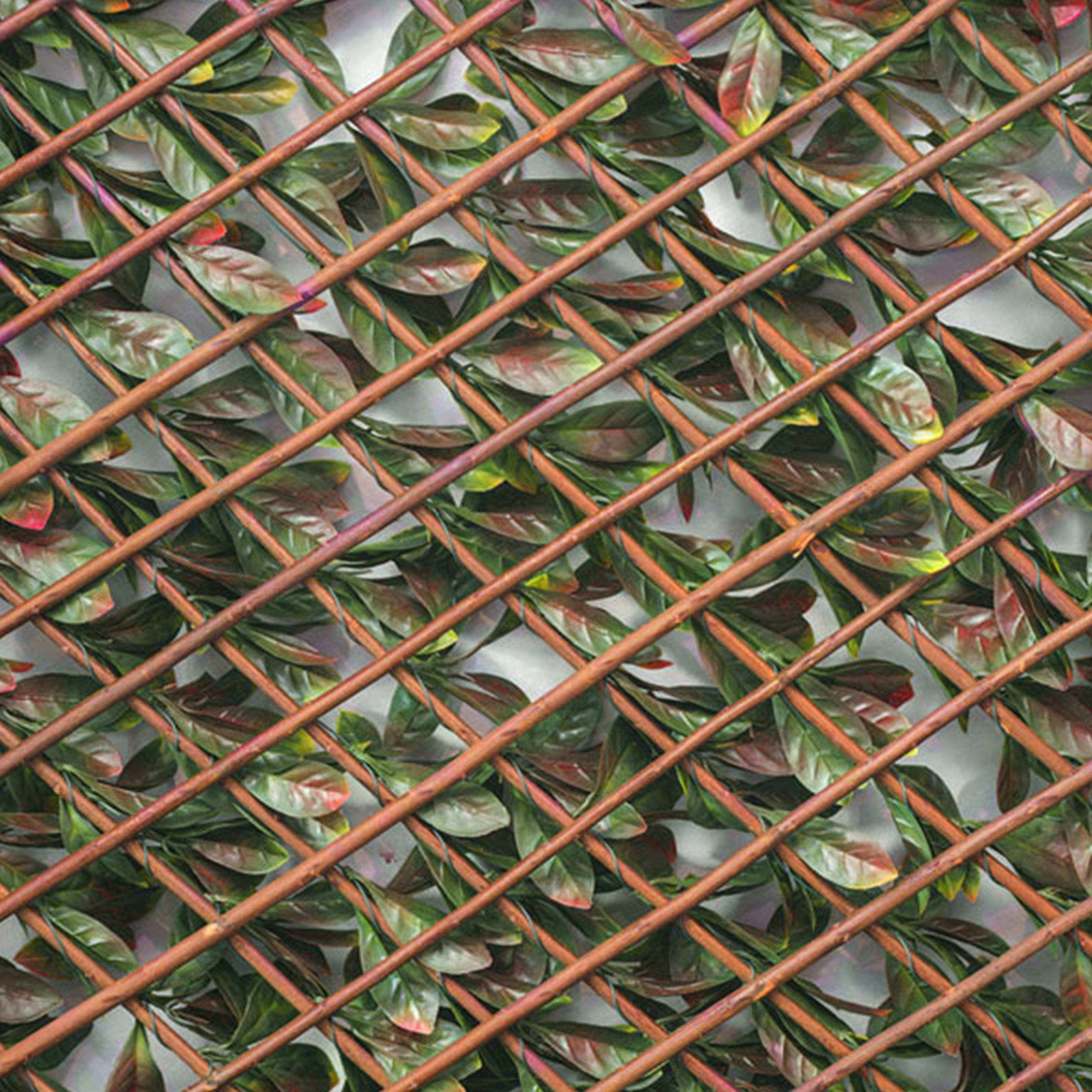 Treillis occultant photinia, H.1 x L.2 m - 4