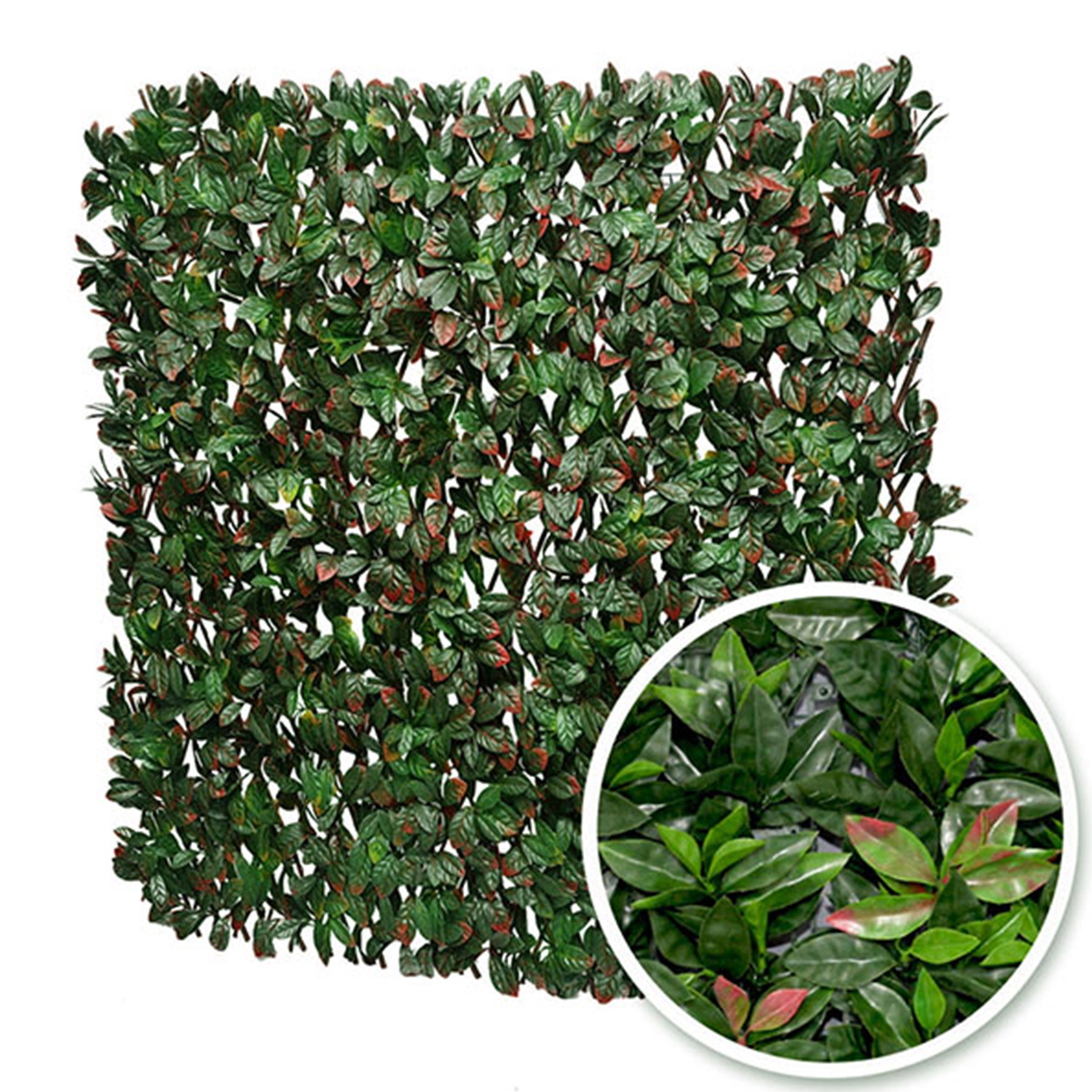 Treillis occultant photinia, H.1 x L.2 m - 2