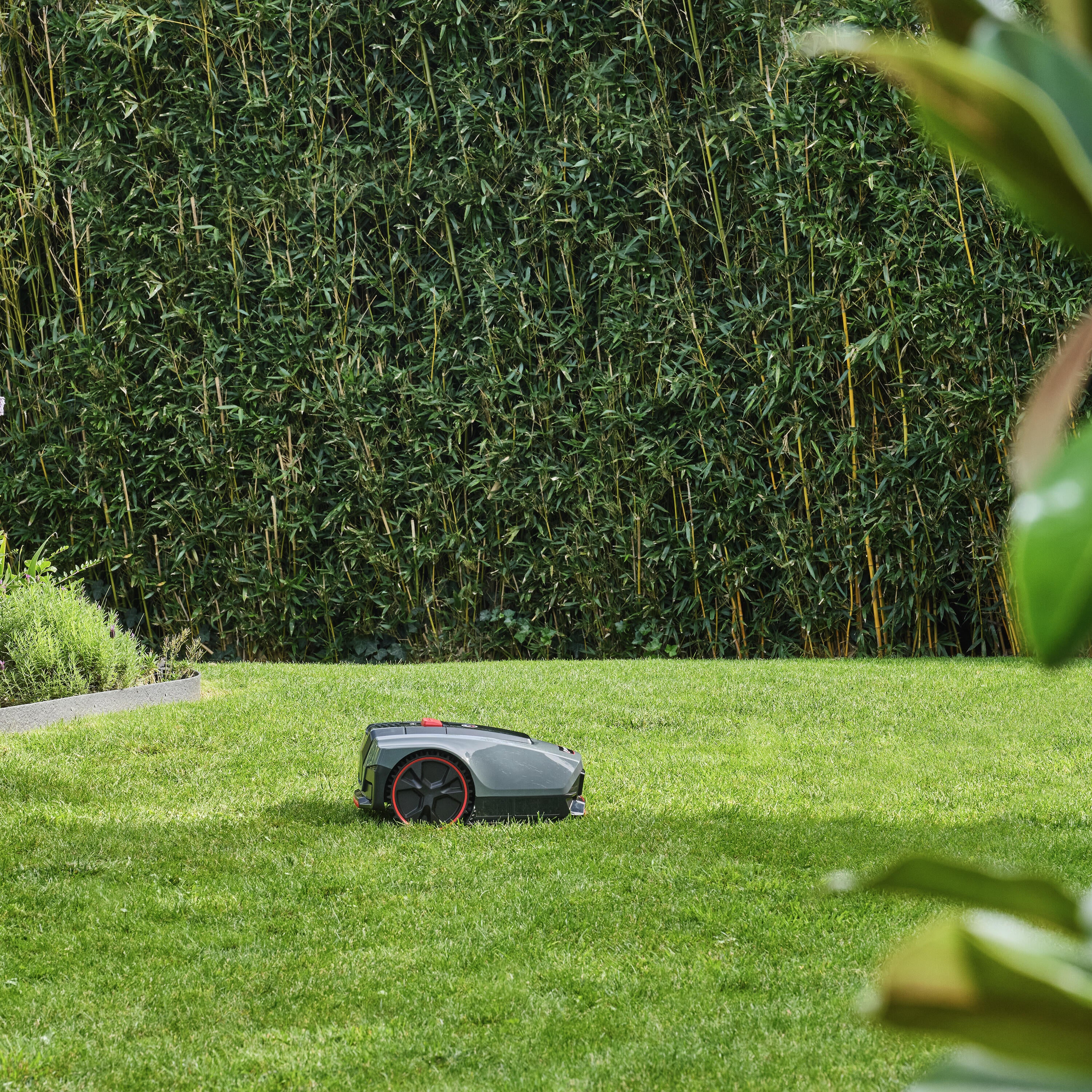 Robot tagliaerba STERWINS con filo perimetrale larghezza di taglio 18 cm - 10