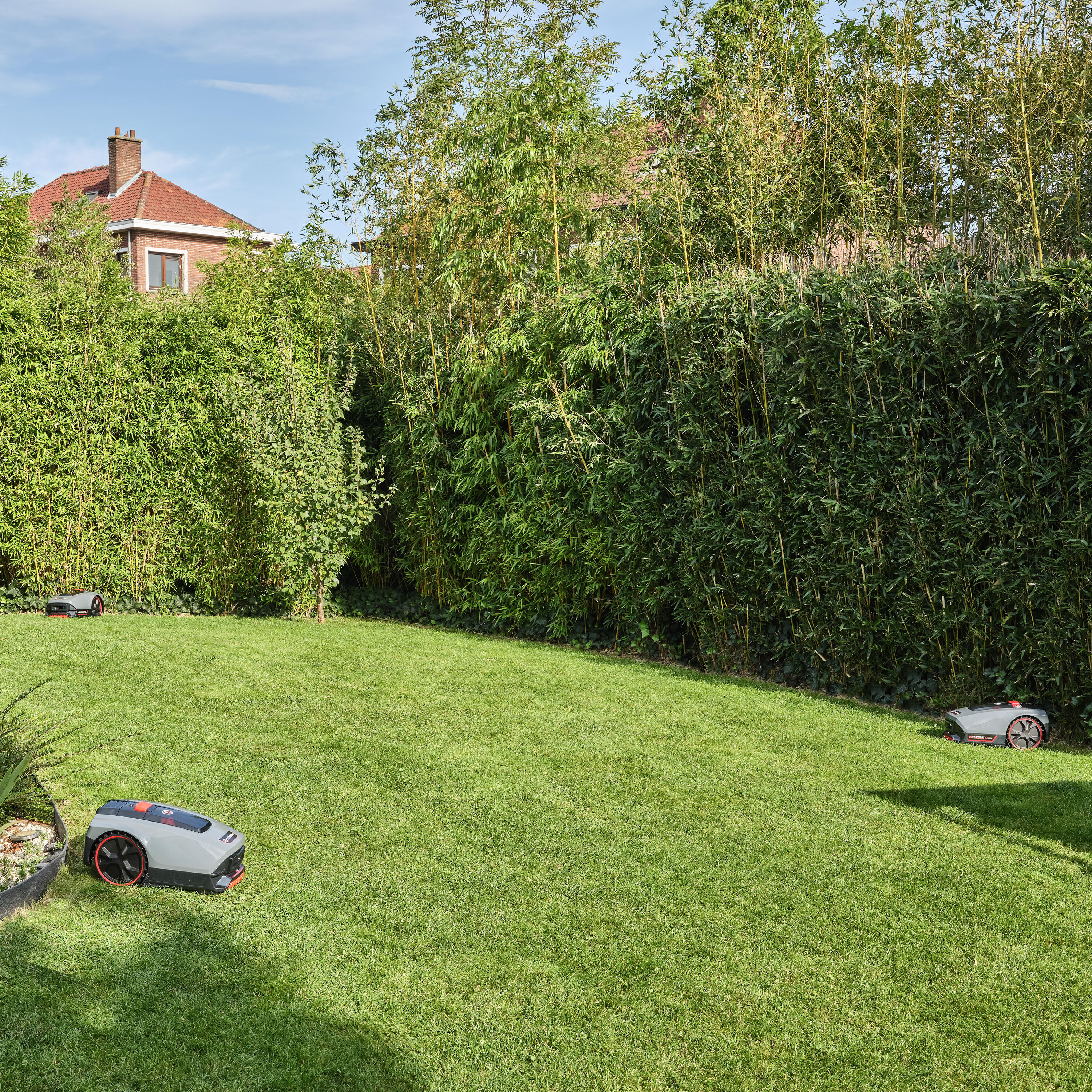 Robot tagliaerba STERWINS con filo perimetrale larghezza di taglio 18 cm - 4