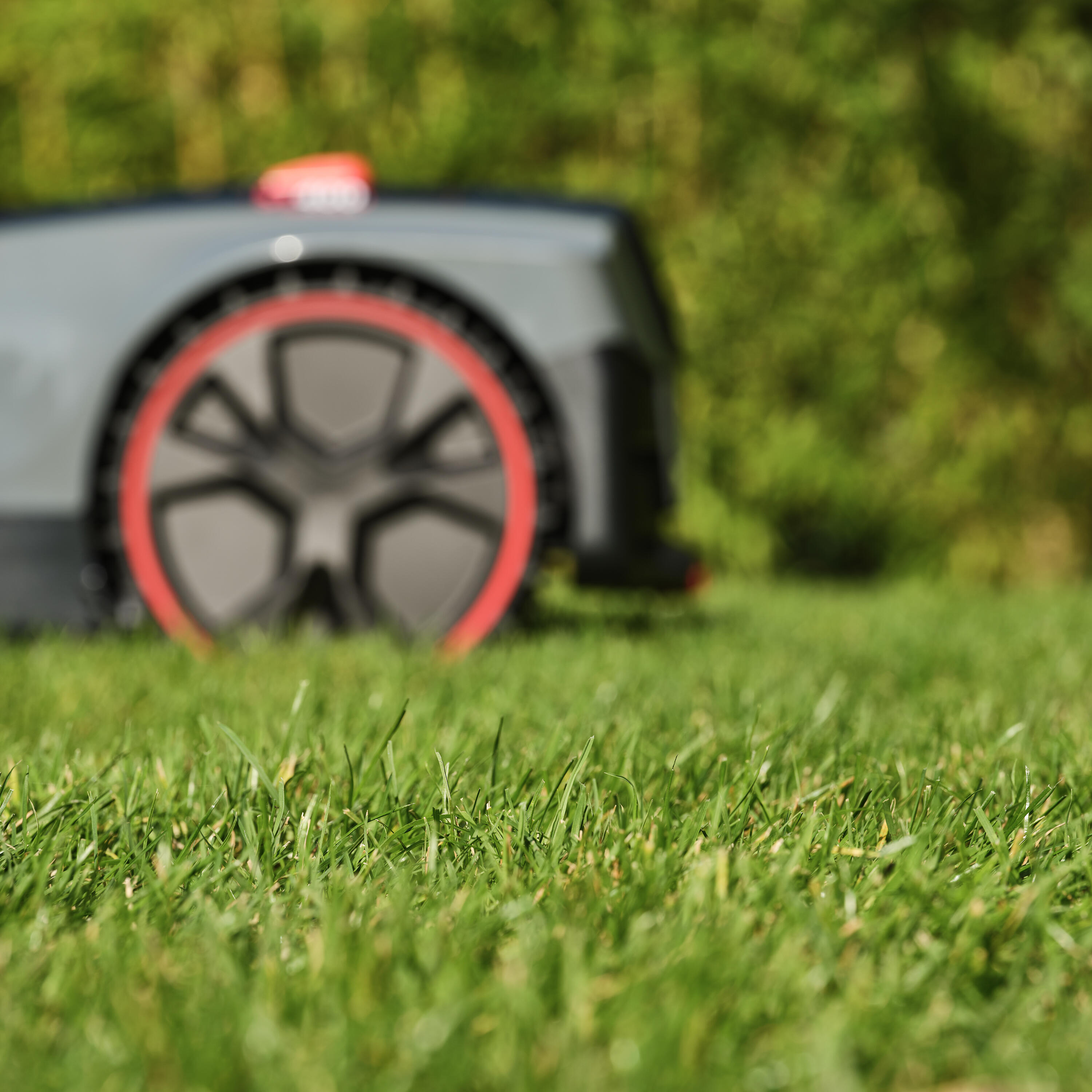 Robot tagliaerba STERWINS con filo perimetrale larghezza di taglio 18 cm - 9