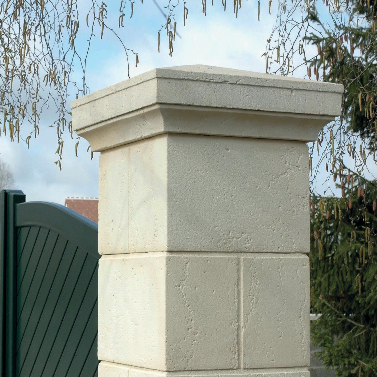 Kit De Fixation Avec Anneau De Remorquage - Pour Trottinette Ninebot Max G30 - En Inox