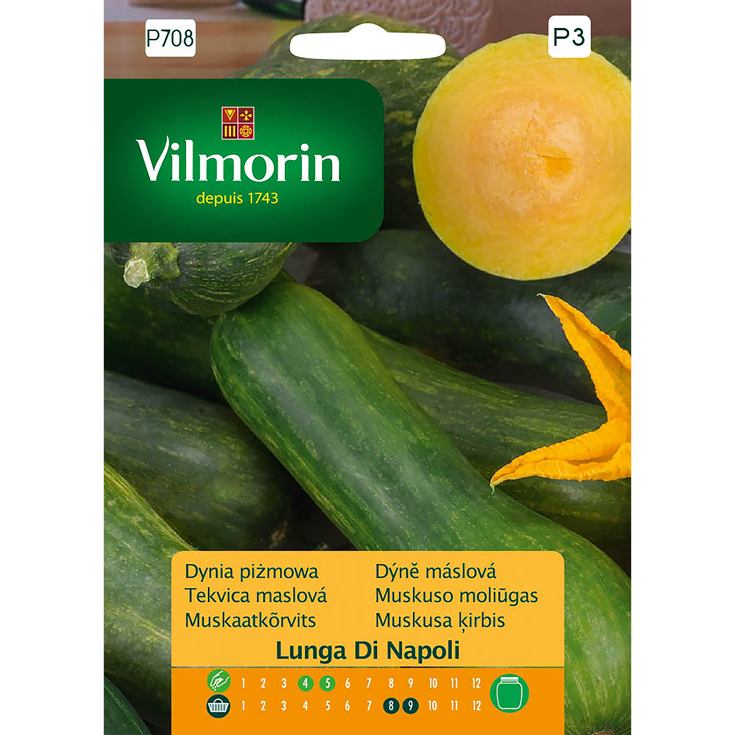 Dynia Pizmowa Lunga Di Napoli 2 g Vilmorin
