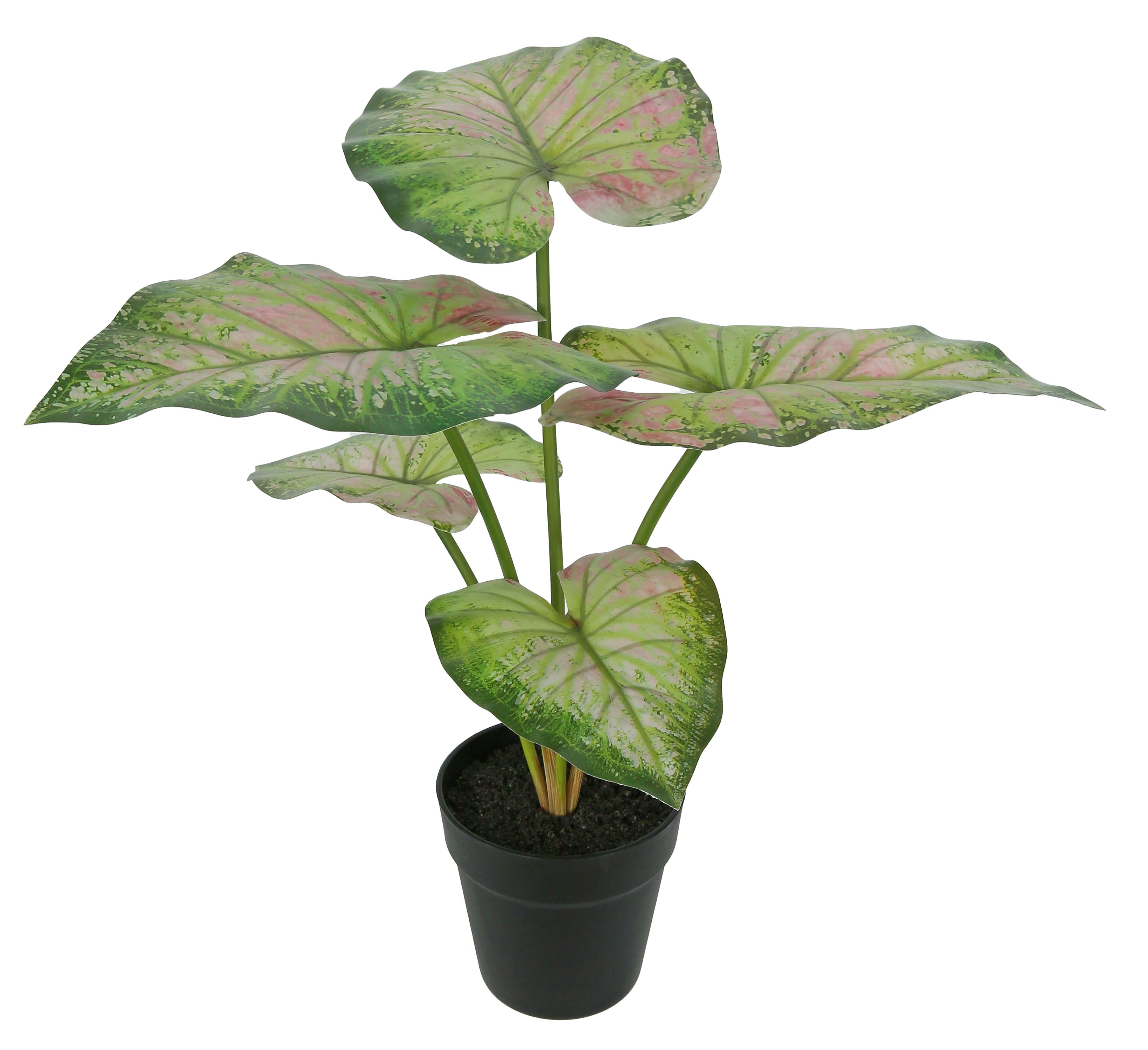 Planta artificial Caladium 48 cm (sortido) - 2