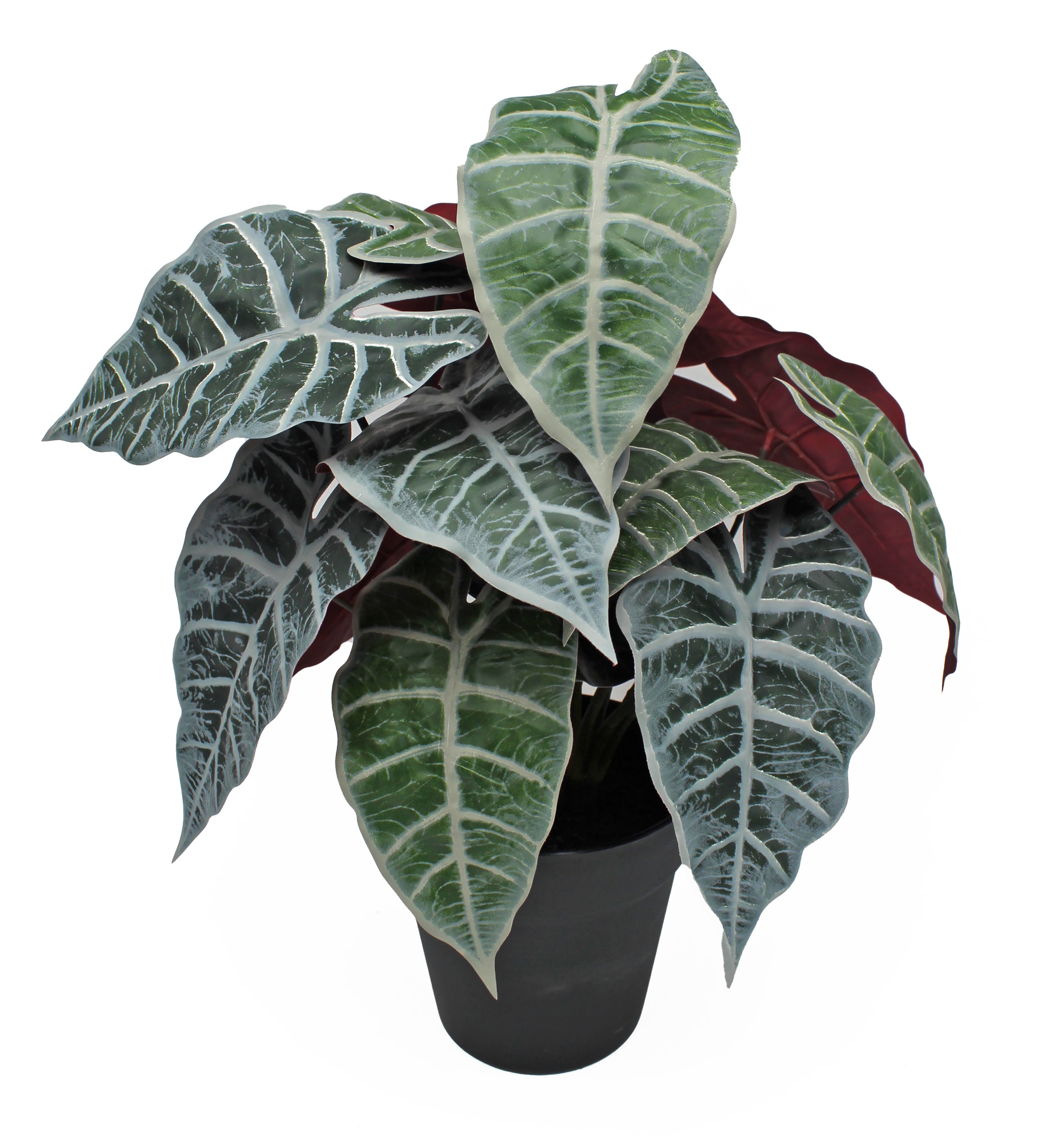 Sinder  Planta Artificial En Maceta Alocasia De 45 Cm De Altura , Leroy Merlin