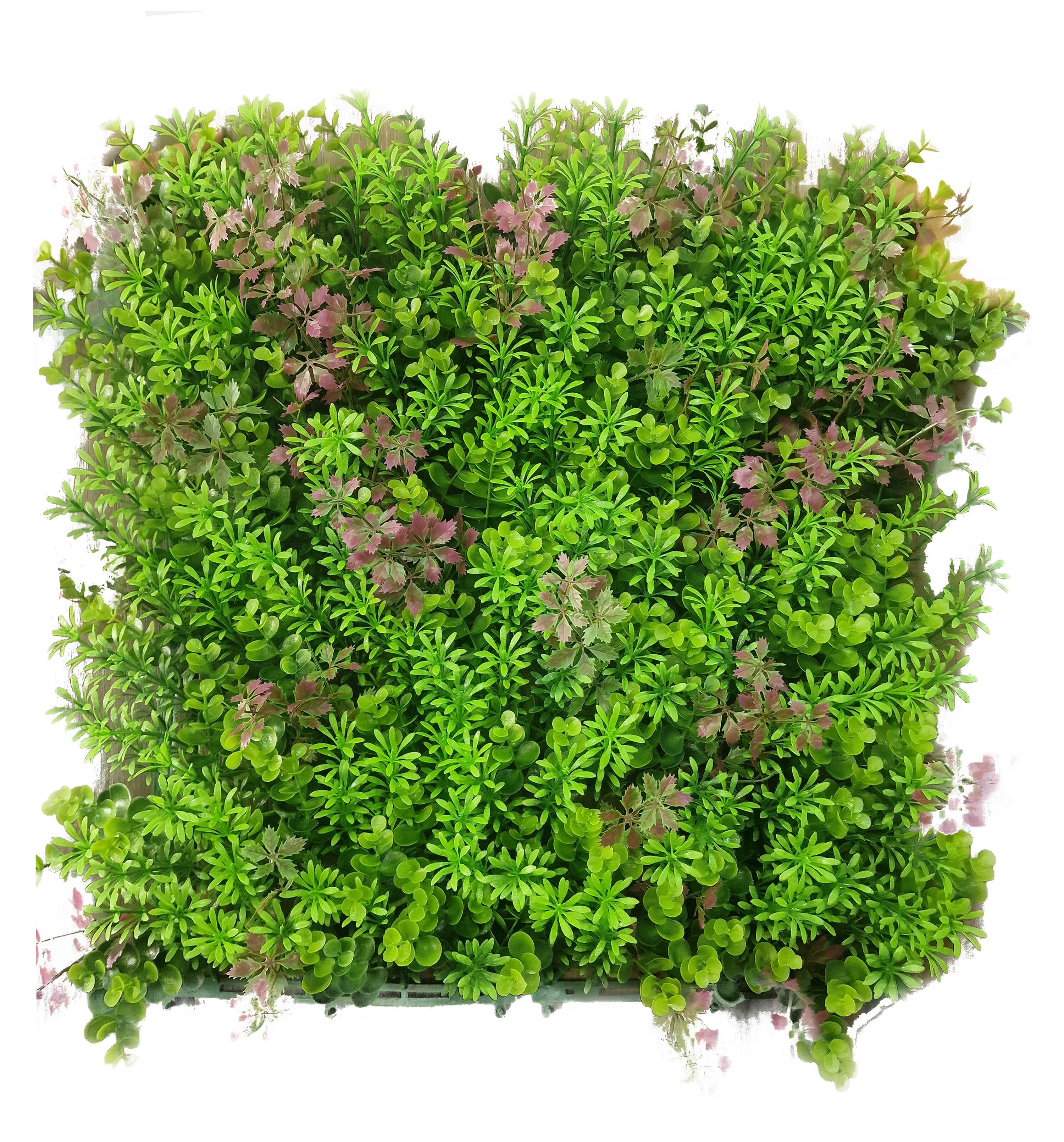 Jardín vertical Elisse verde SINDER 50x50 cm - 2